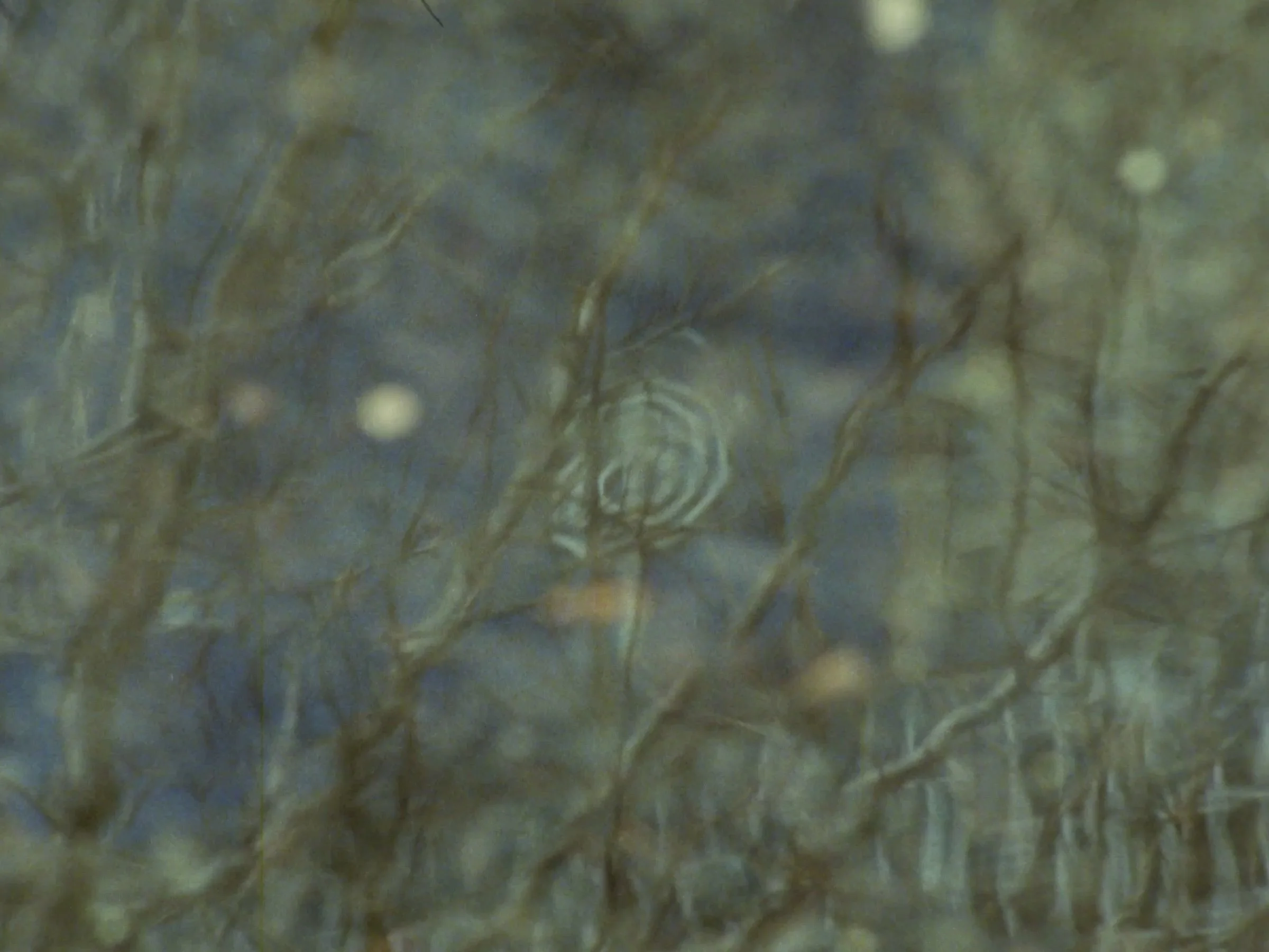 Curtis Miller, still from The Pit (2026) (1).jpg
