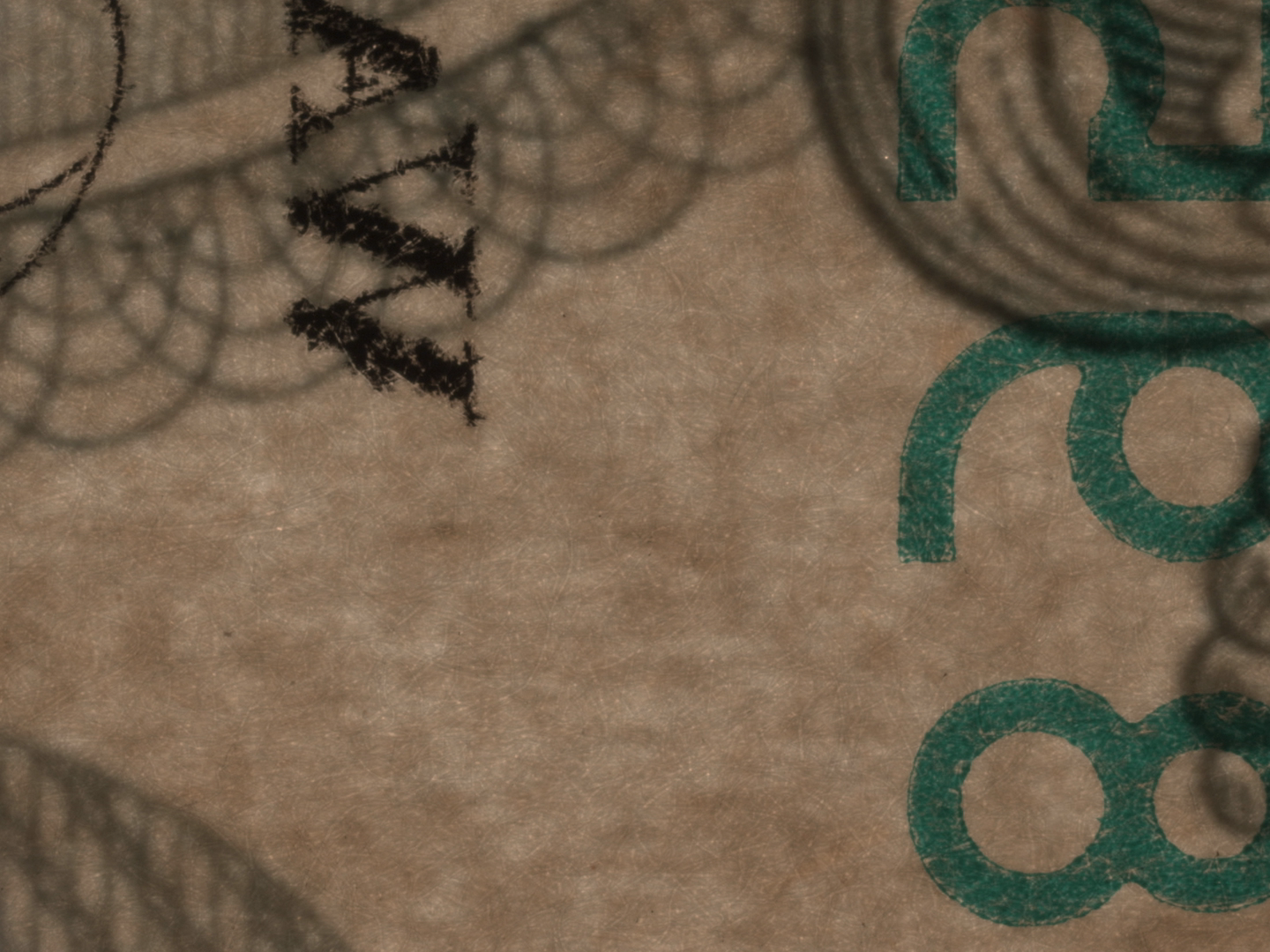 Ben Creech, still from MICROBUDGET (2025).png