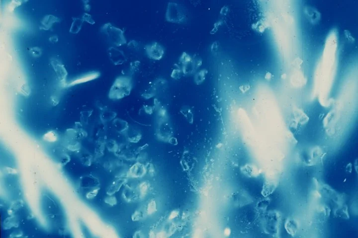 BLUE, BLUE | In-Person (4/12) | Onion City Experimental Film Festival