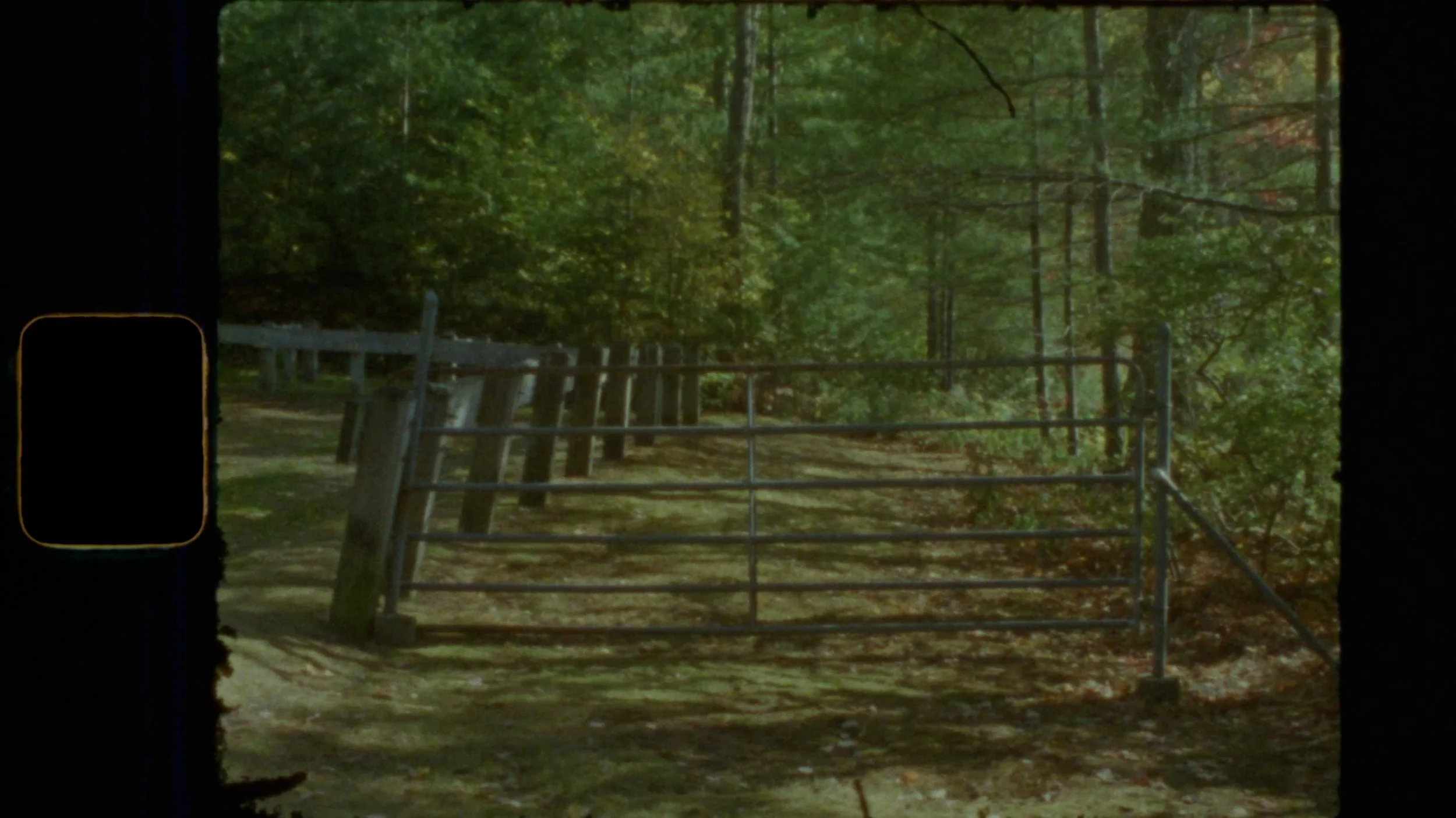 Kylie Walters, still from Heaven and Earth (2025).jpg