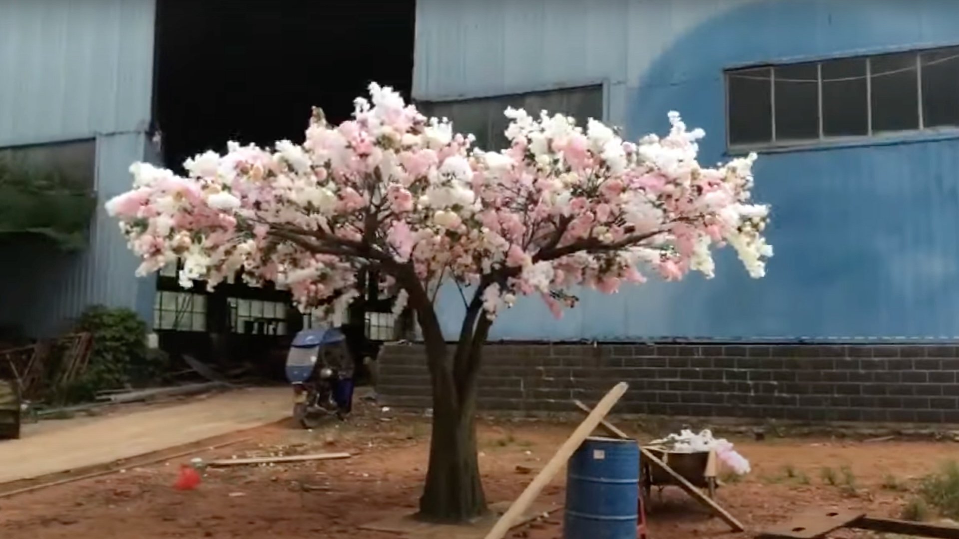 Yuyan Wang, still from Green Grey Black Brown (2024).jpg