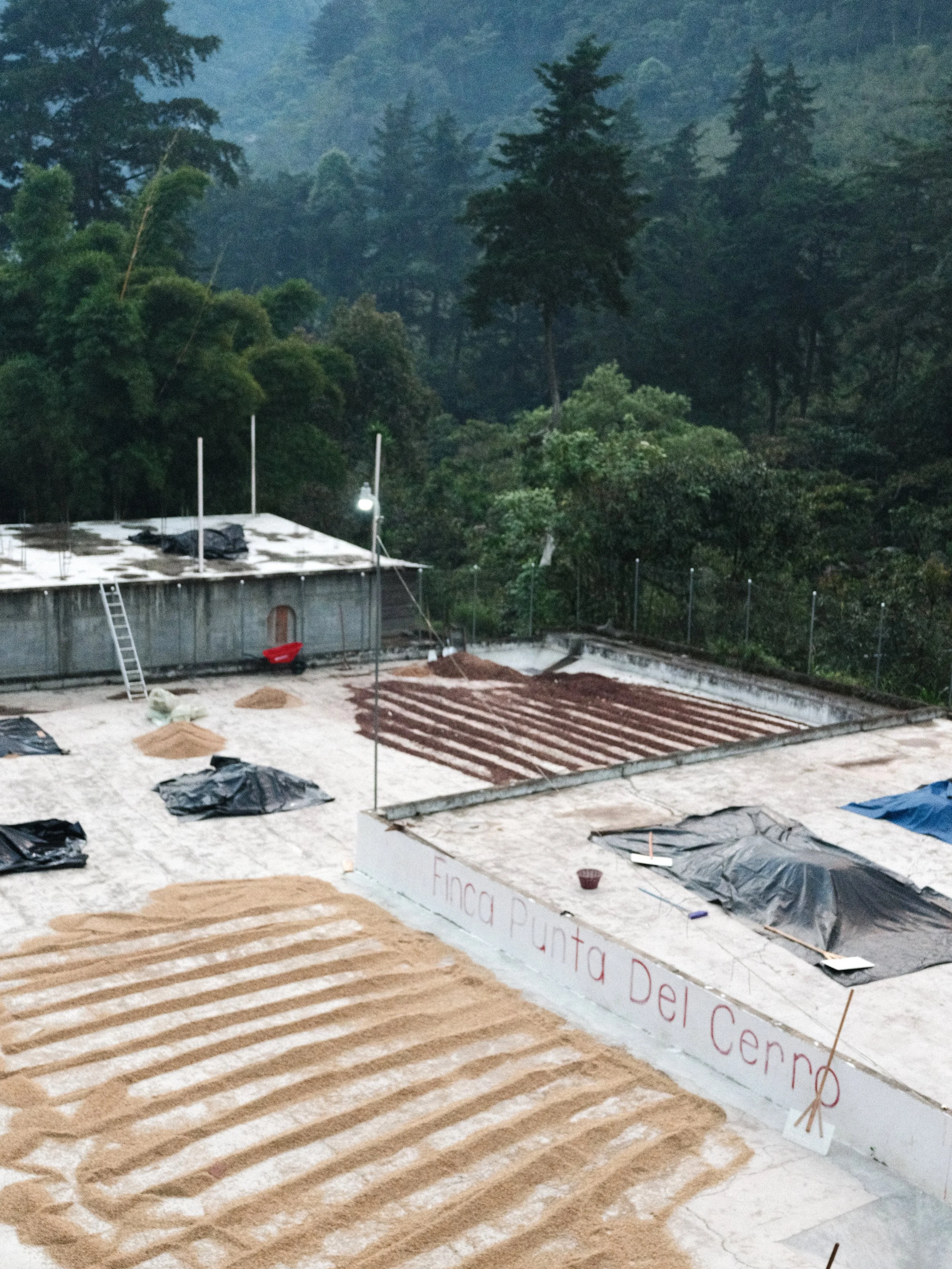 Gallery Coffee Origin Trip: Villatoros in Guatemala   (Part II)