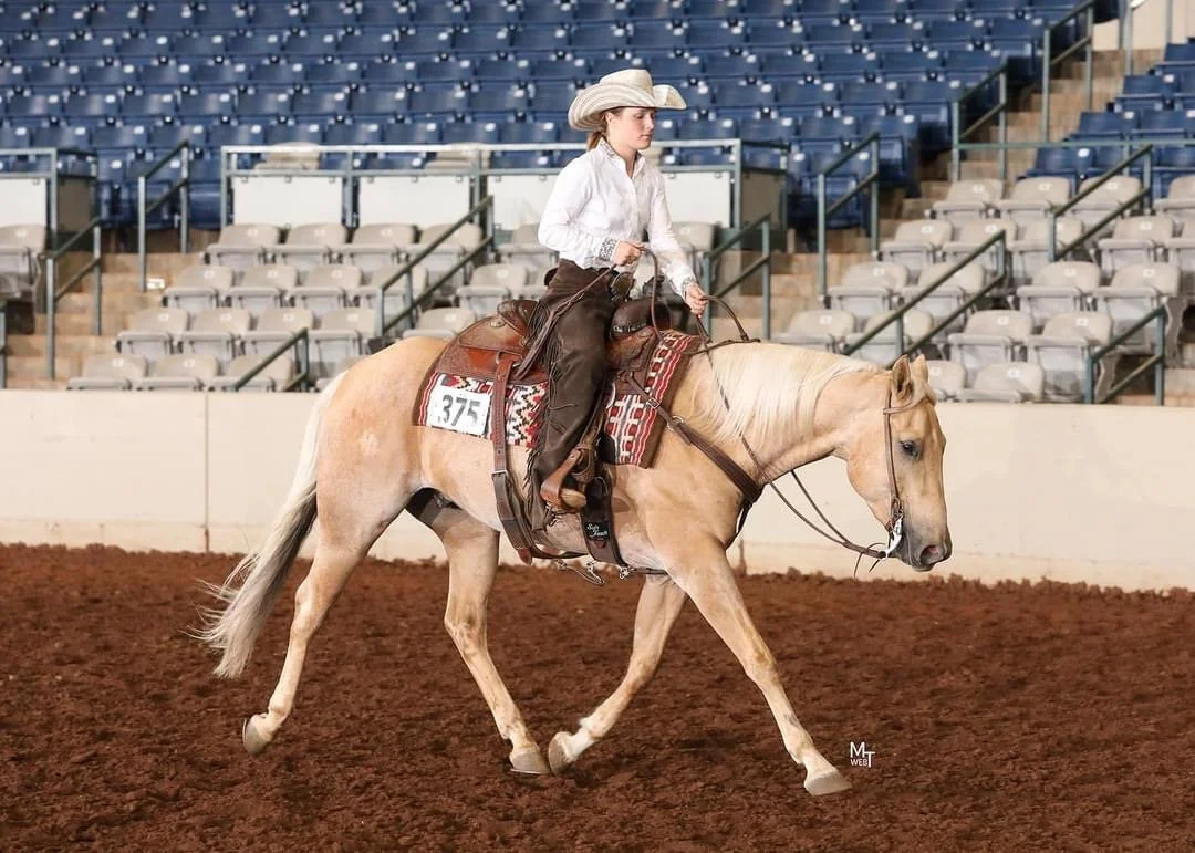 Gold Sponsor Showcase- Delaney Rostad Performance Horses 