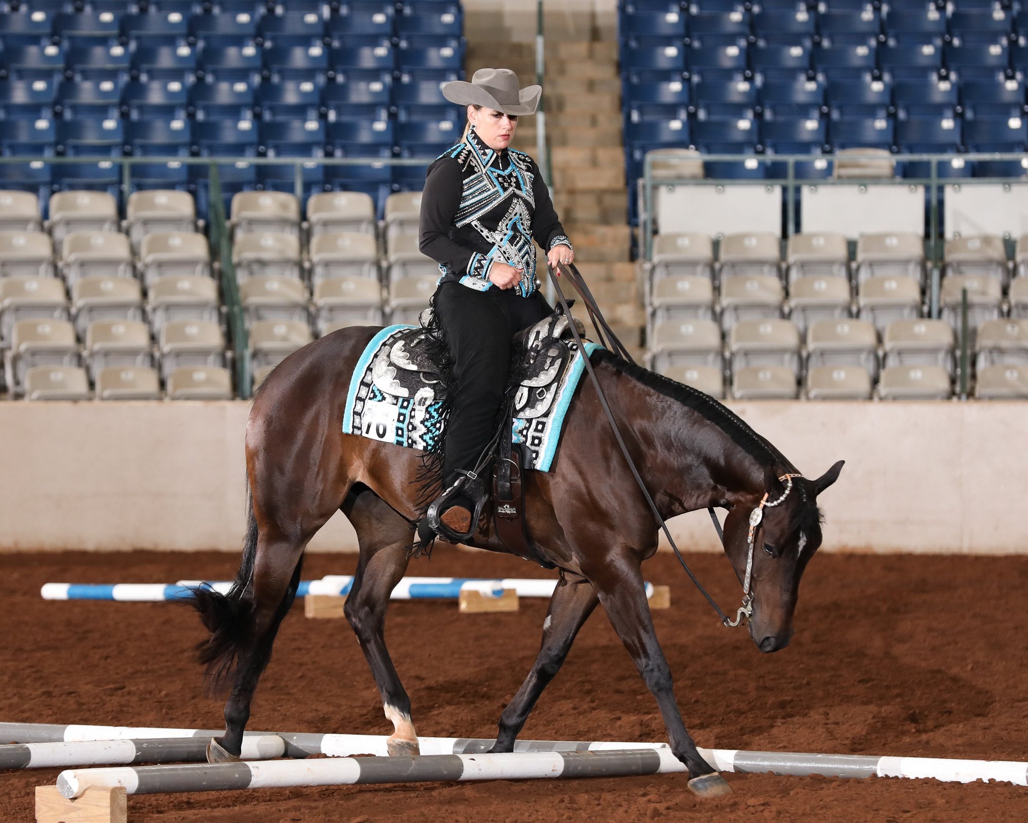 New for 2025: The Trail Challenge Debuts at the TQHA Circuit