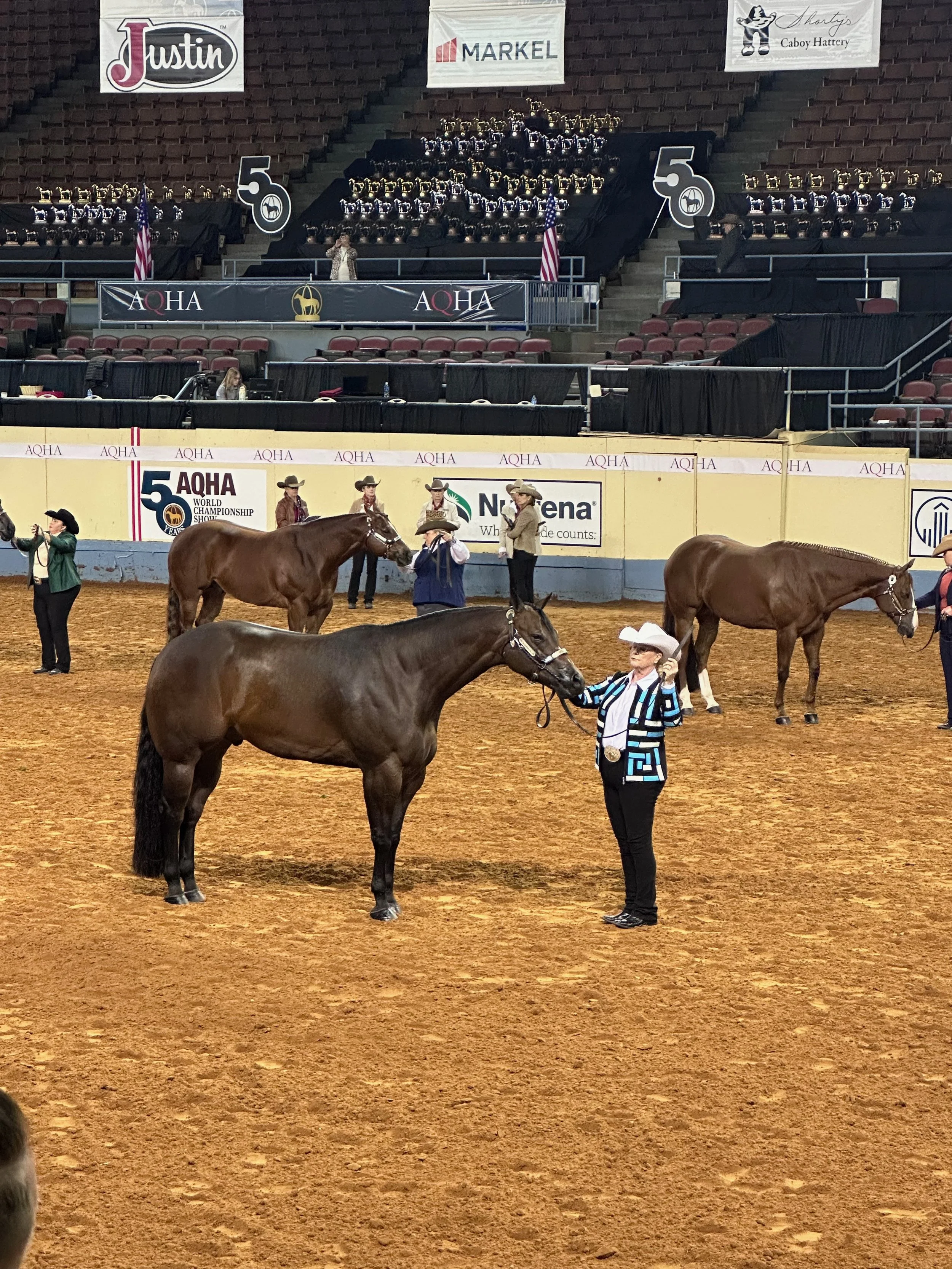  Make the Most of the TQHA Amateur Incentive Fund – Apply by December 15!