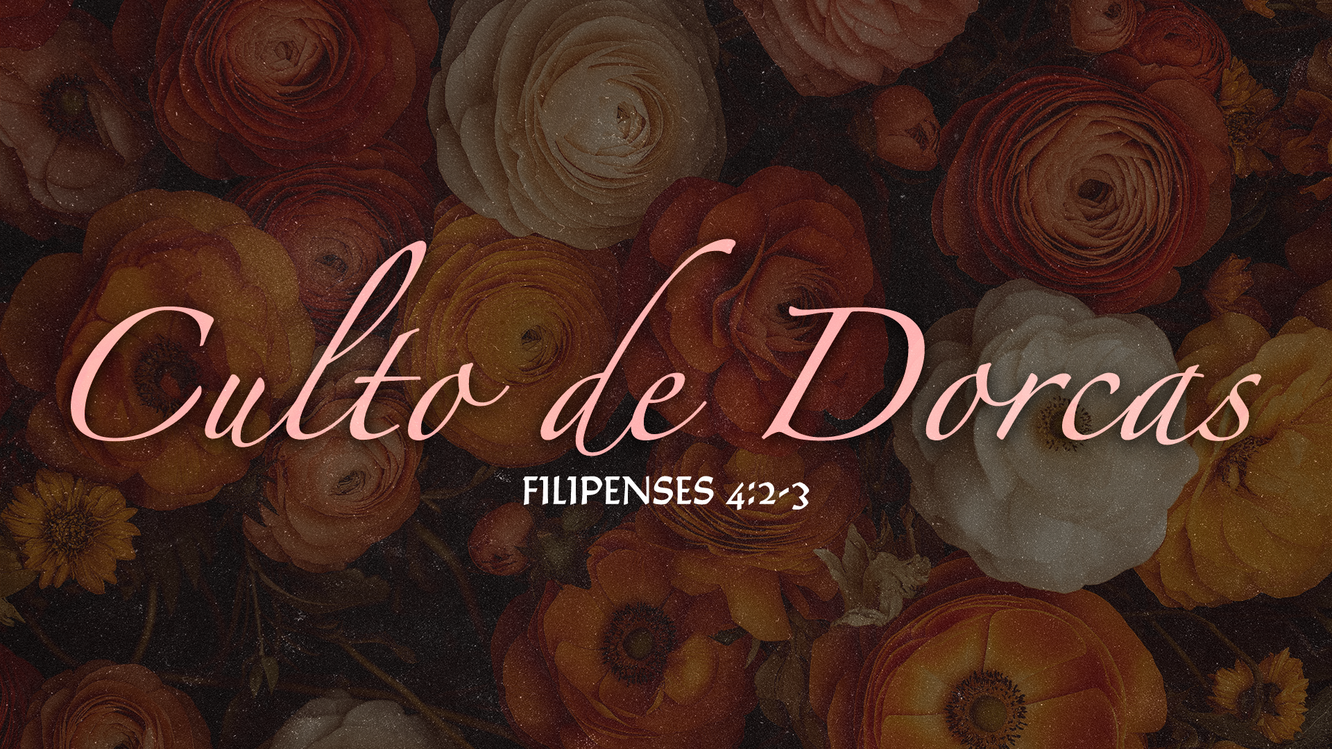 Culto de Damas Dorcas