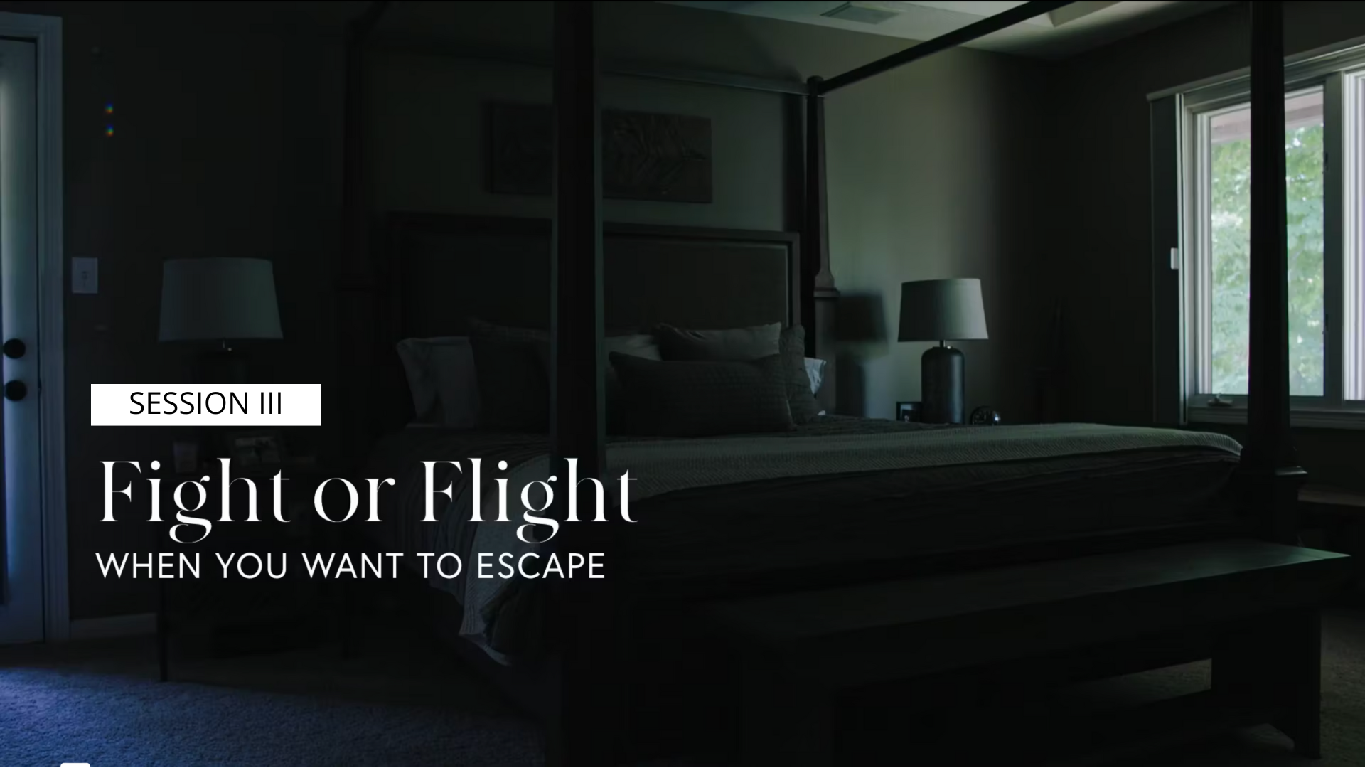 Session 3 - Fight or Flight