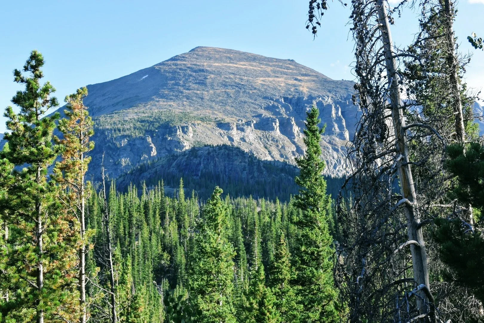 DSC_0348.JPG
