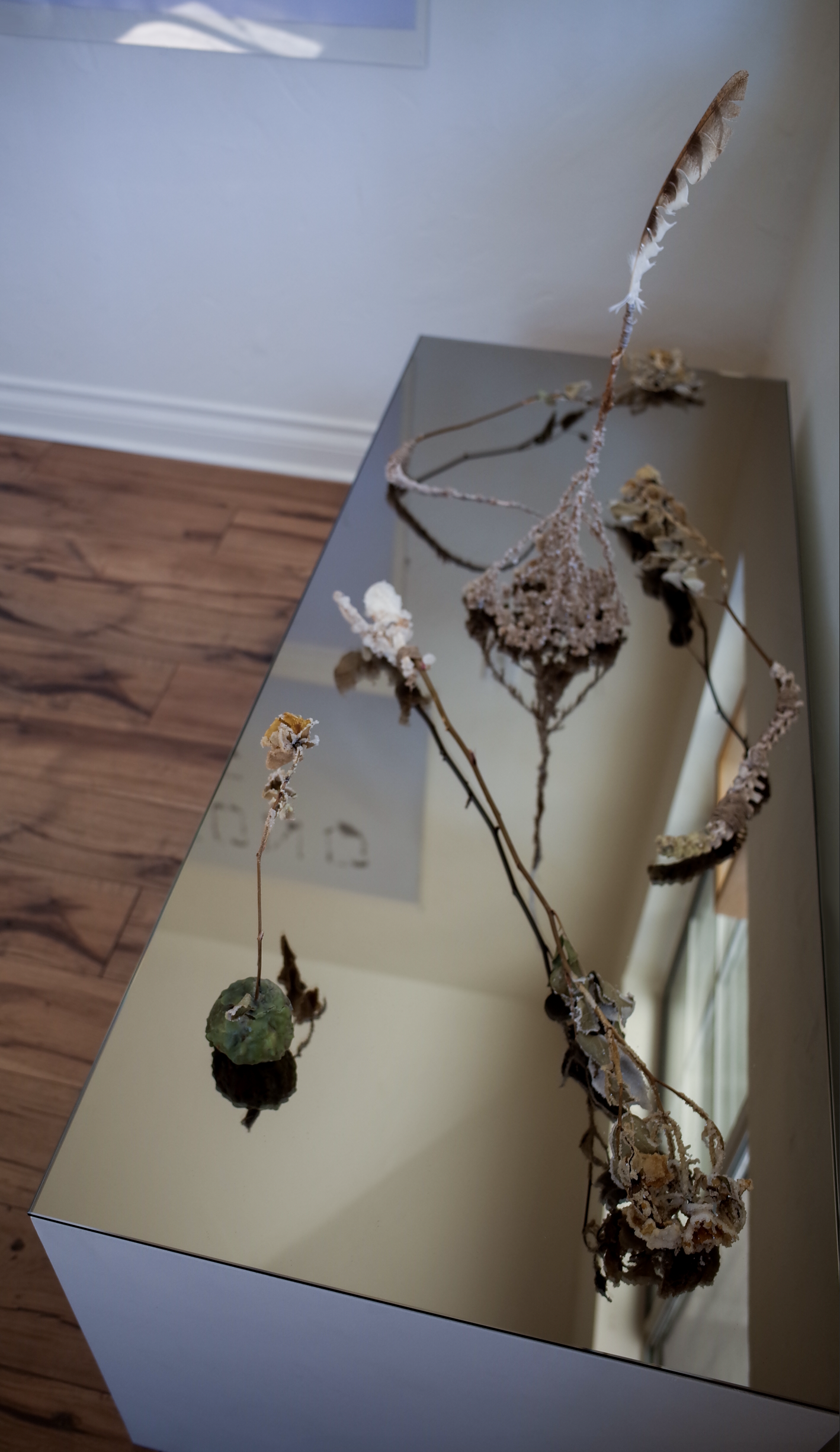 Installation Views