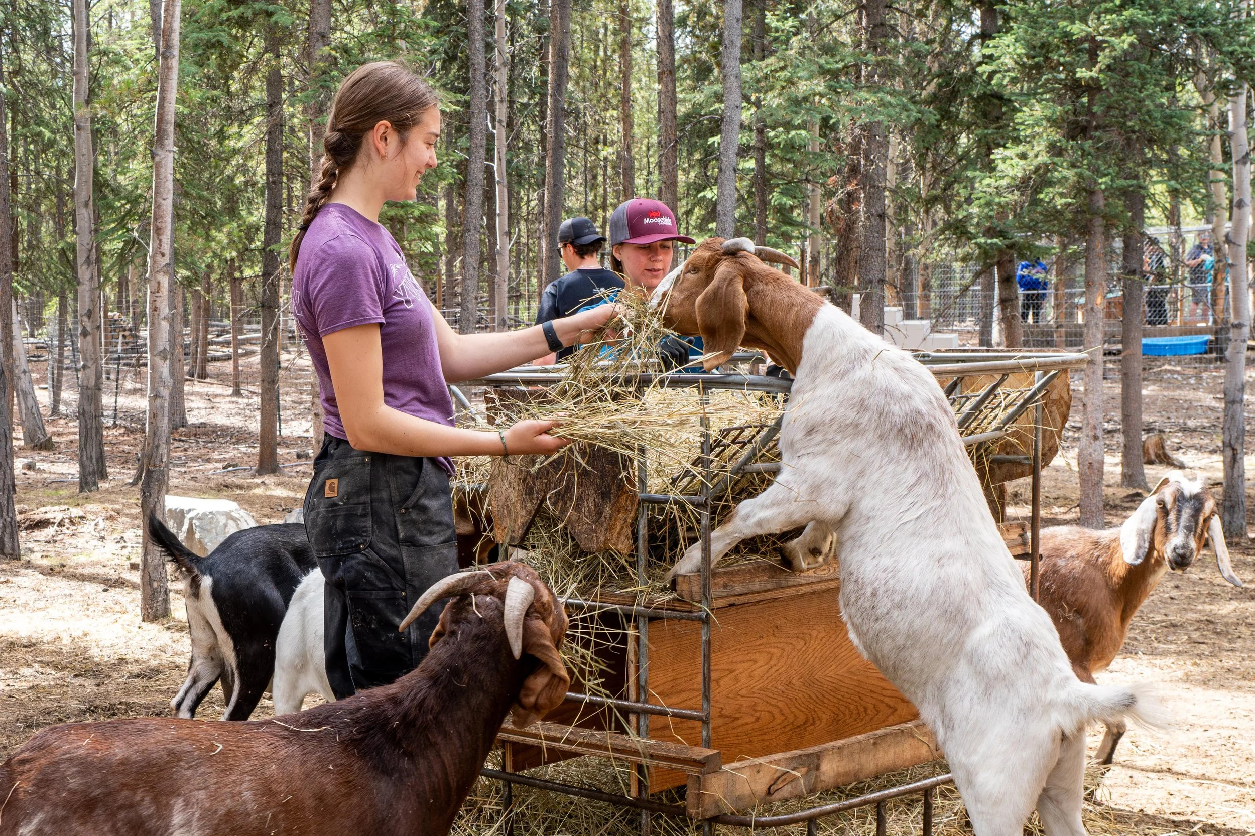 July 30 Farm-2.JPG