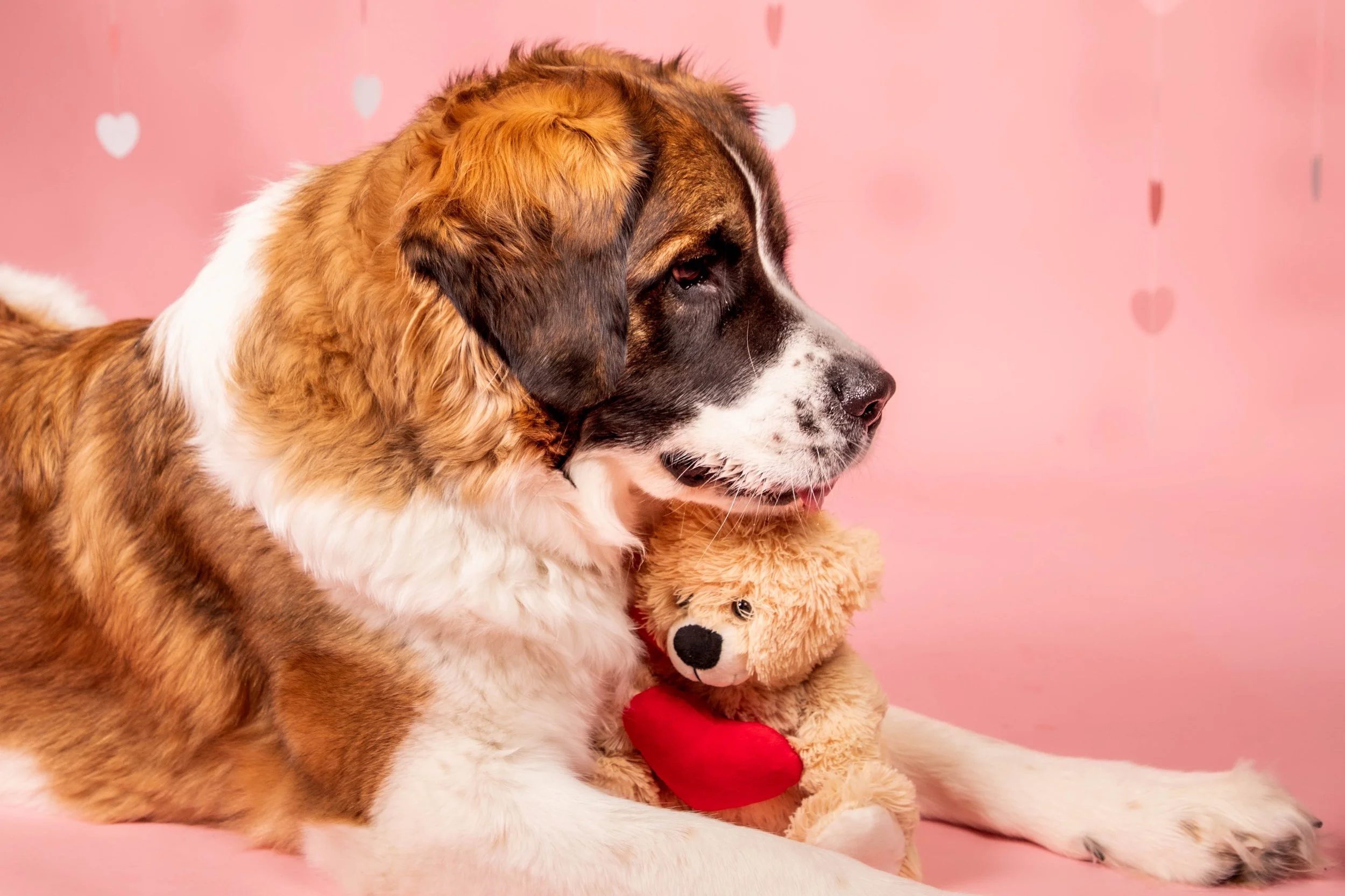 Valentines Low Res-10.JPG