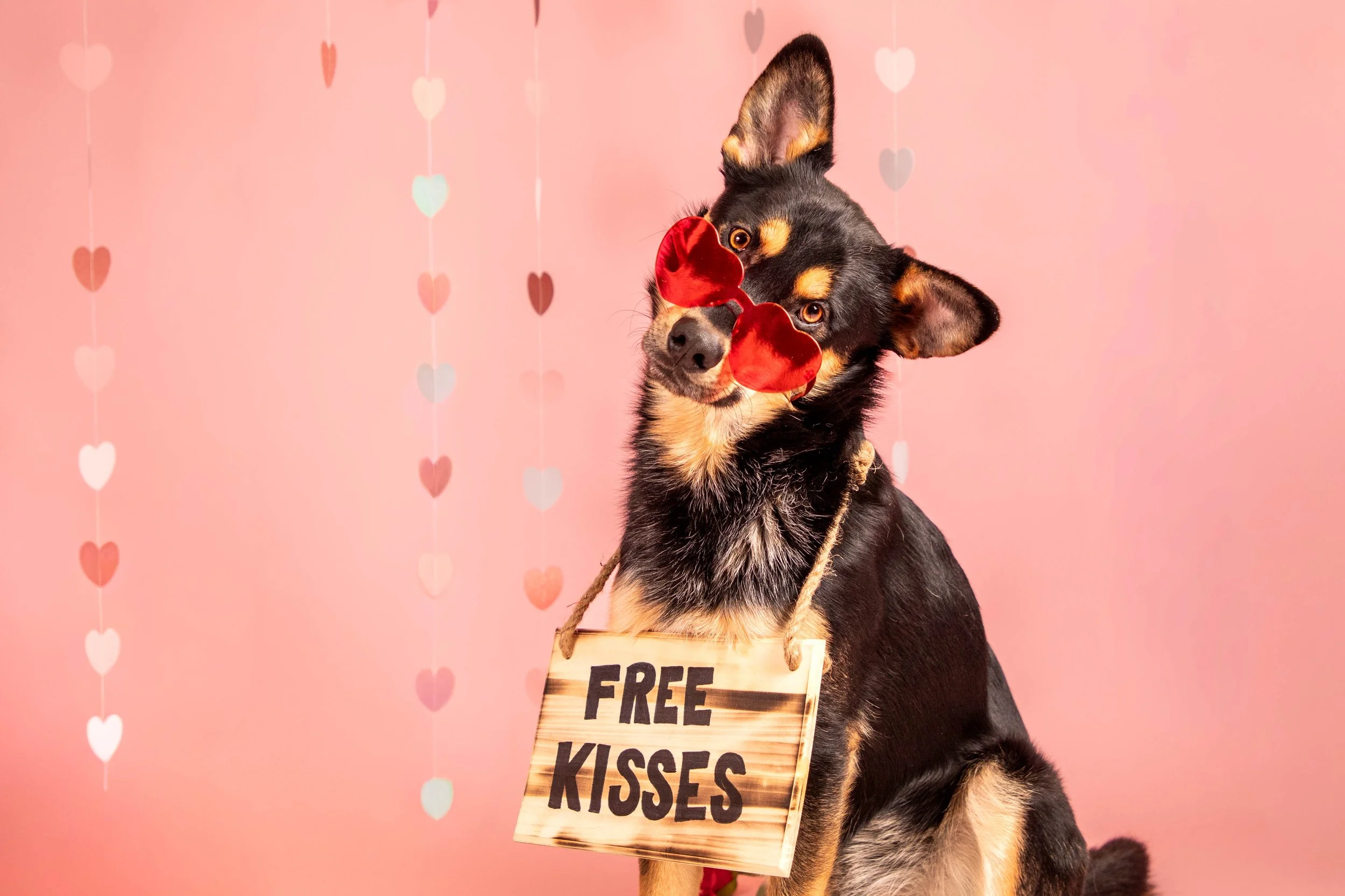 Valentines Low Res-35.JPG