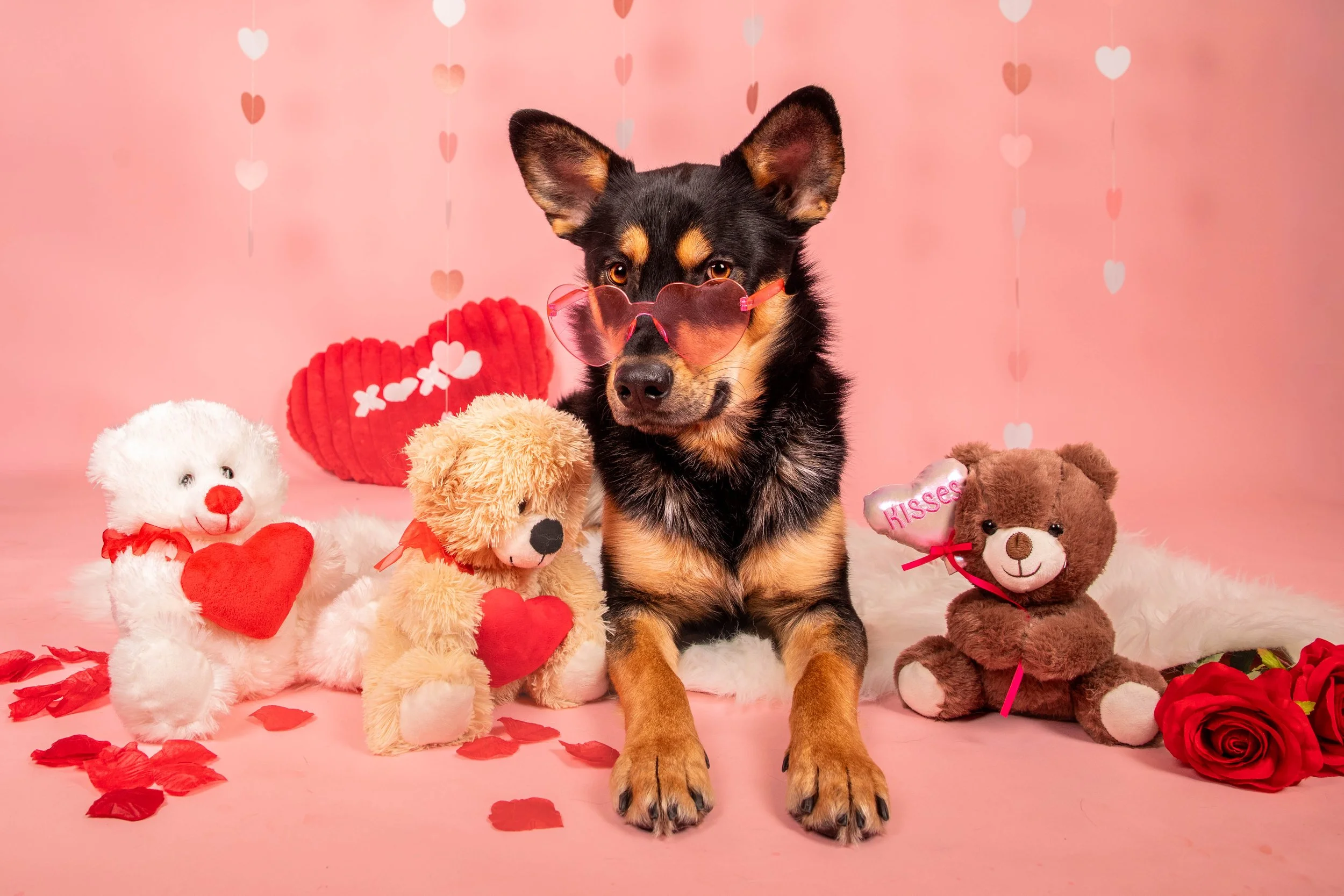 Valentines Low Res-3.JPG