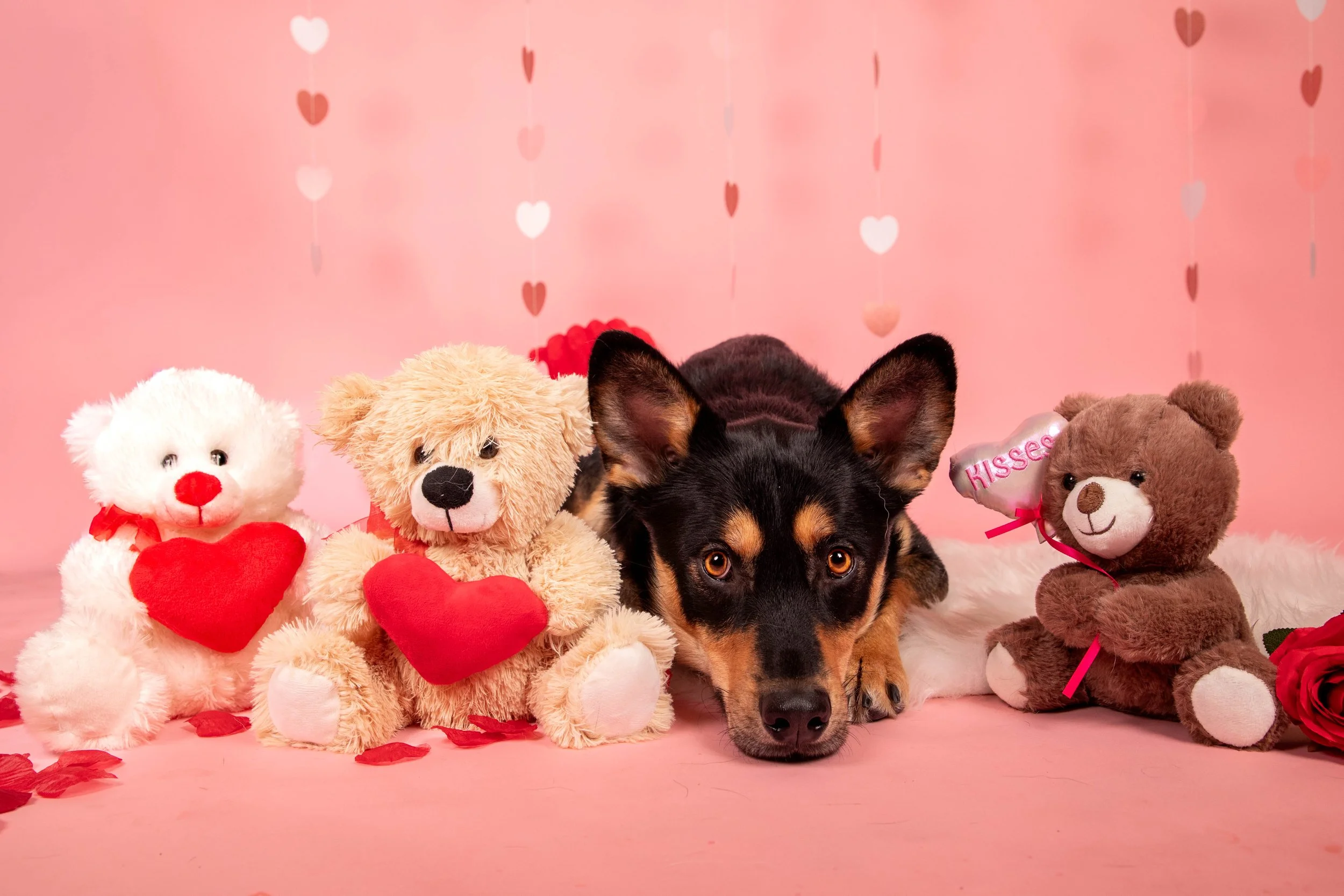 Valentines Low Res-5.JPG