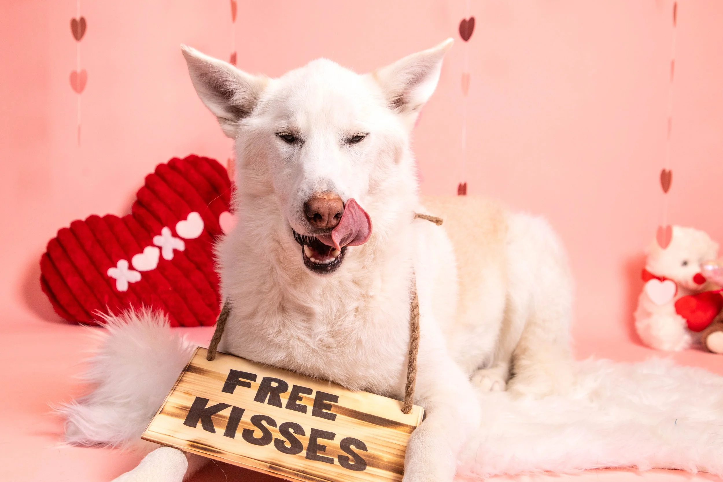 Valentines Low Res-15.JPG