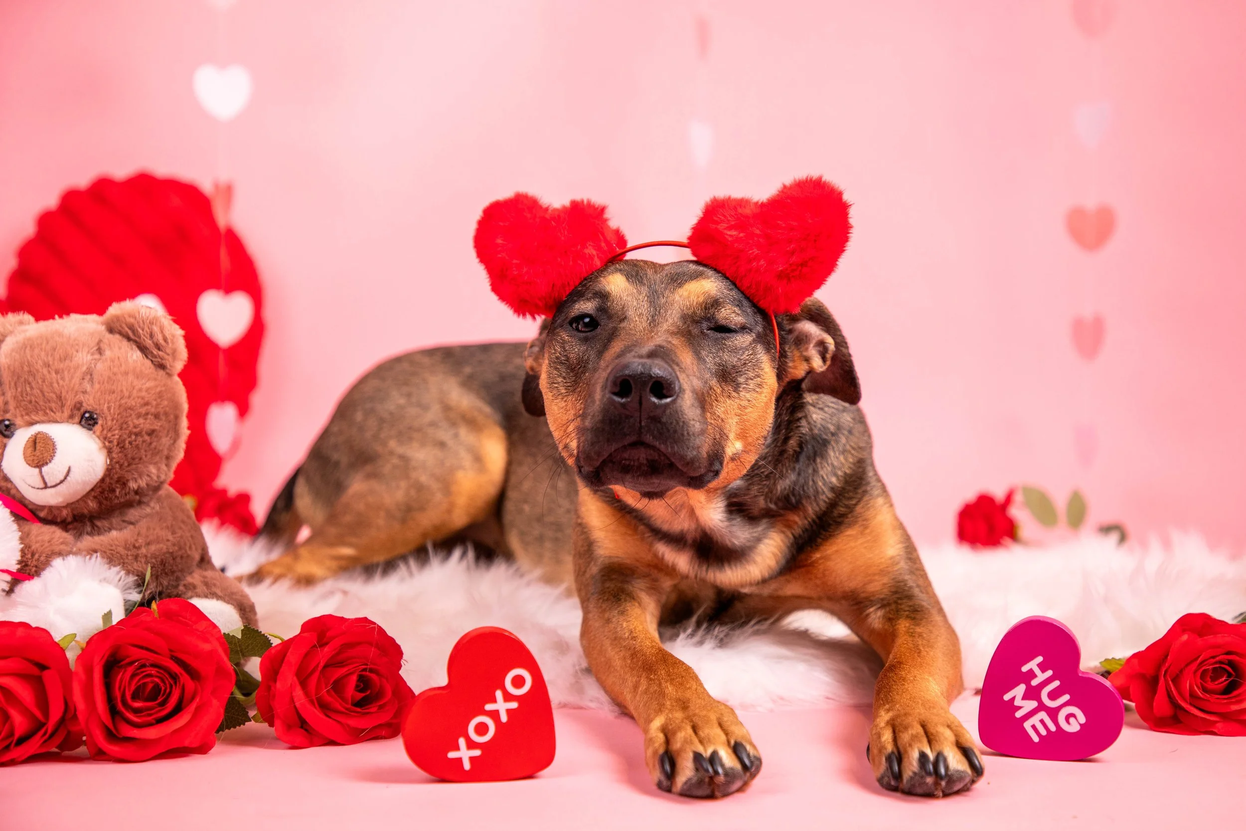 Valentines Low Res-27.JPG