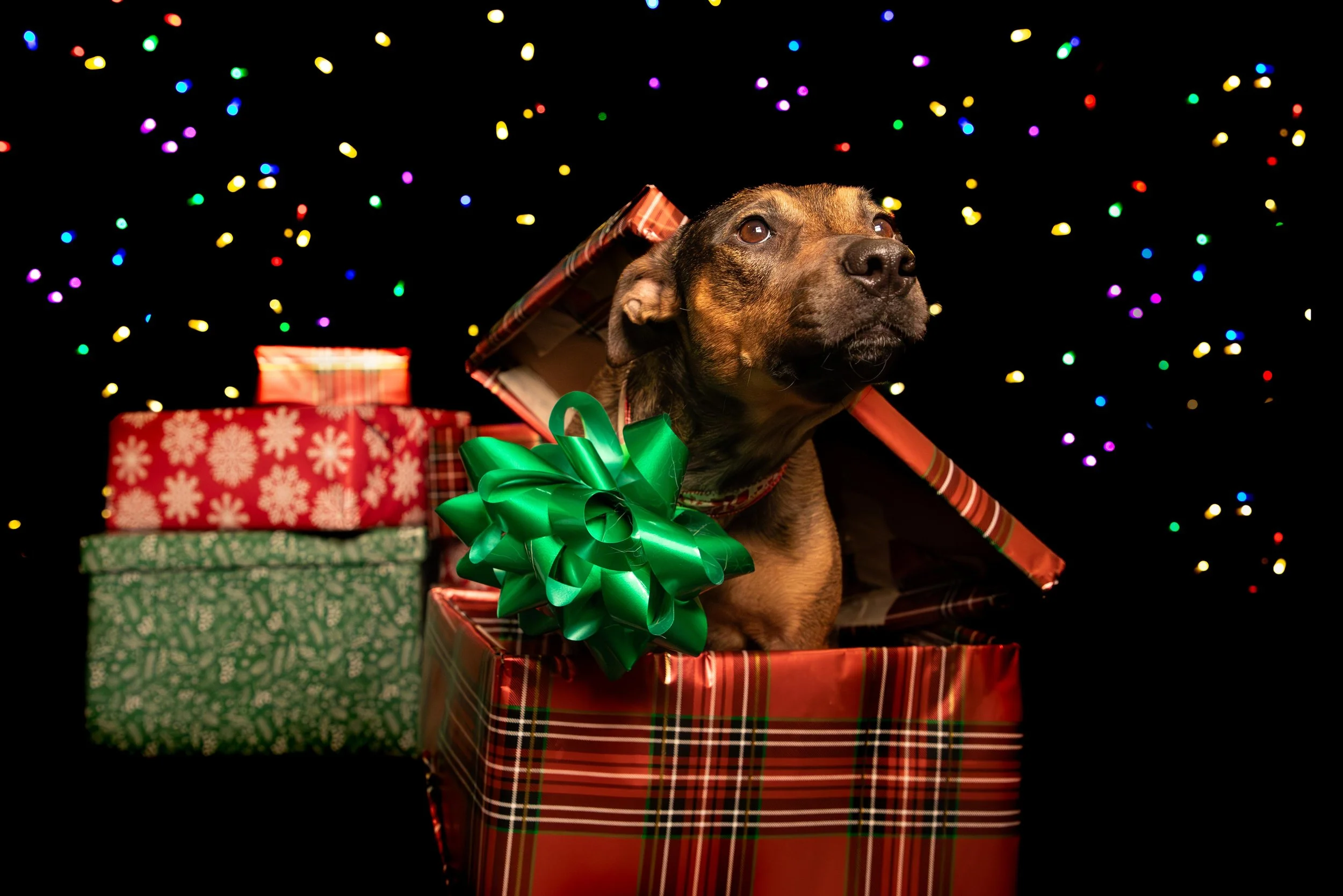 Torvi and Annie High res-7.JPG