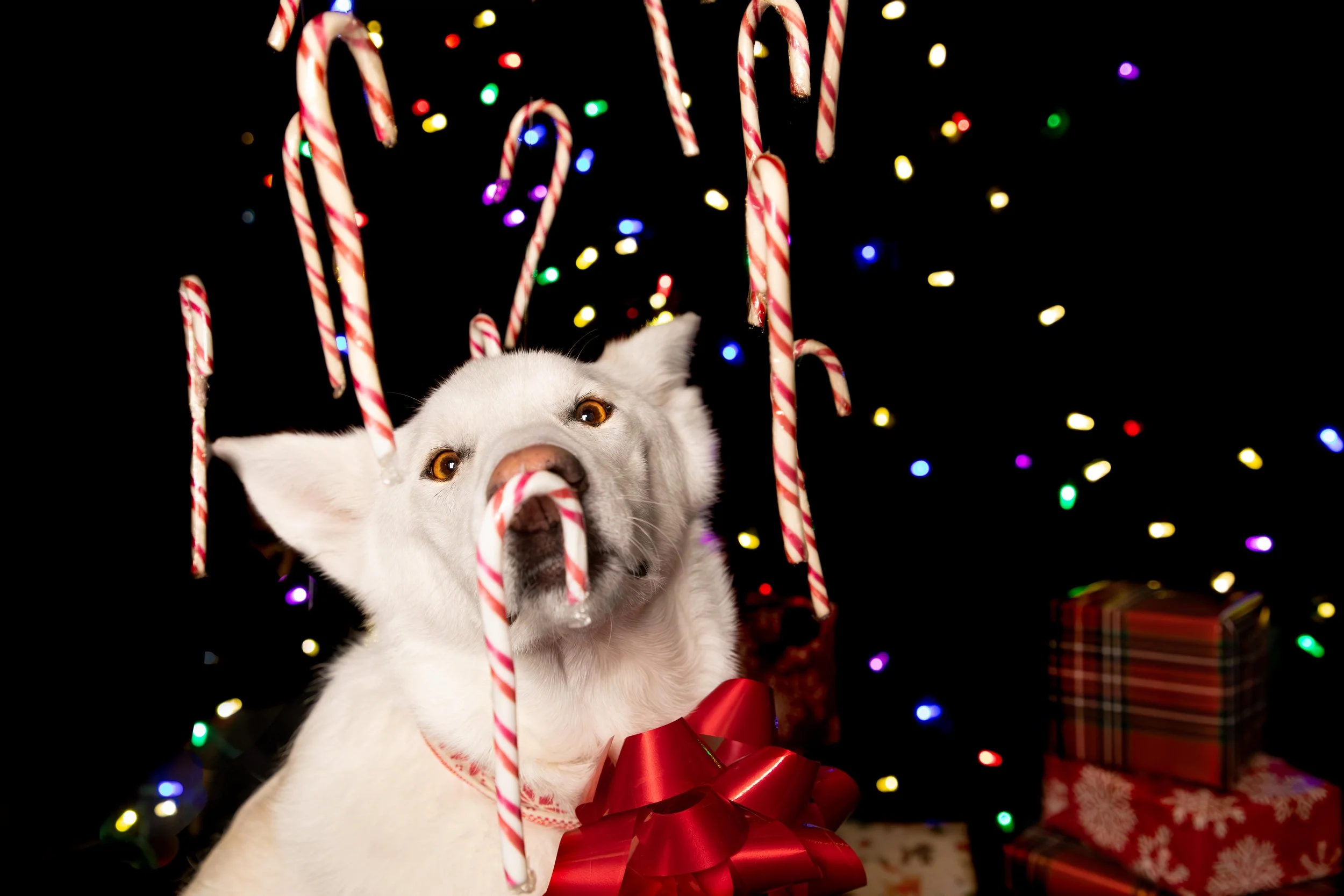 Torvi and Annie High res-9.JPG