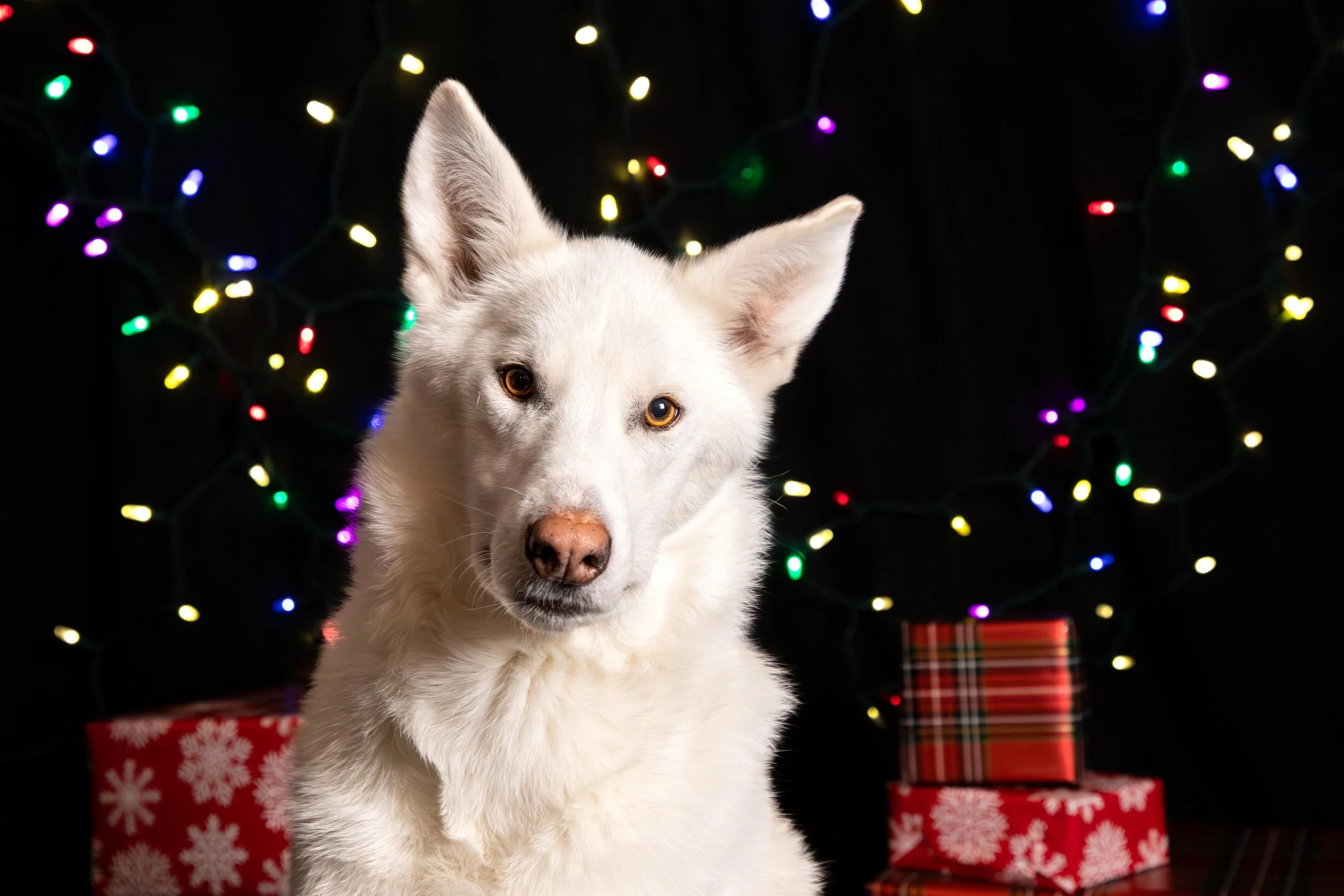 Torvi and Annie High res-12.JPG