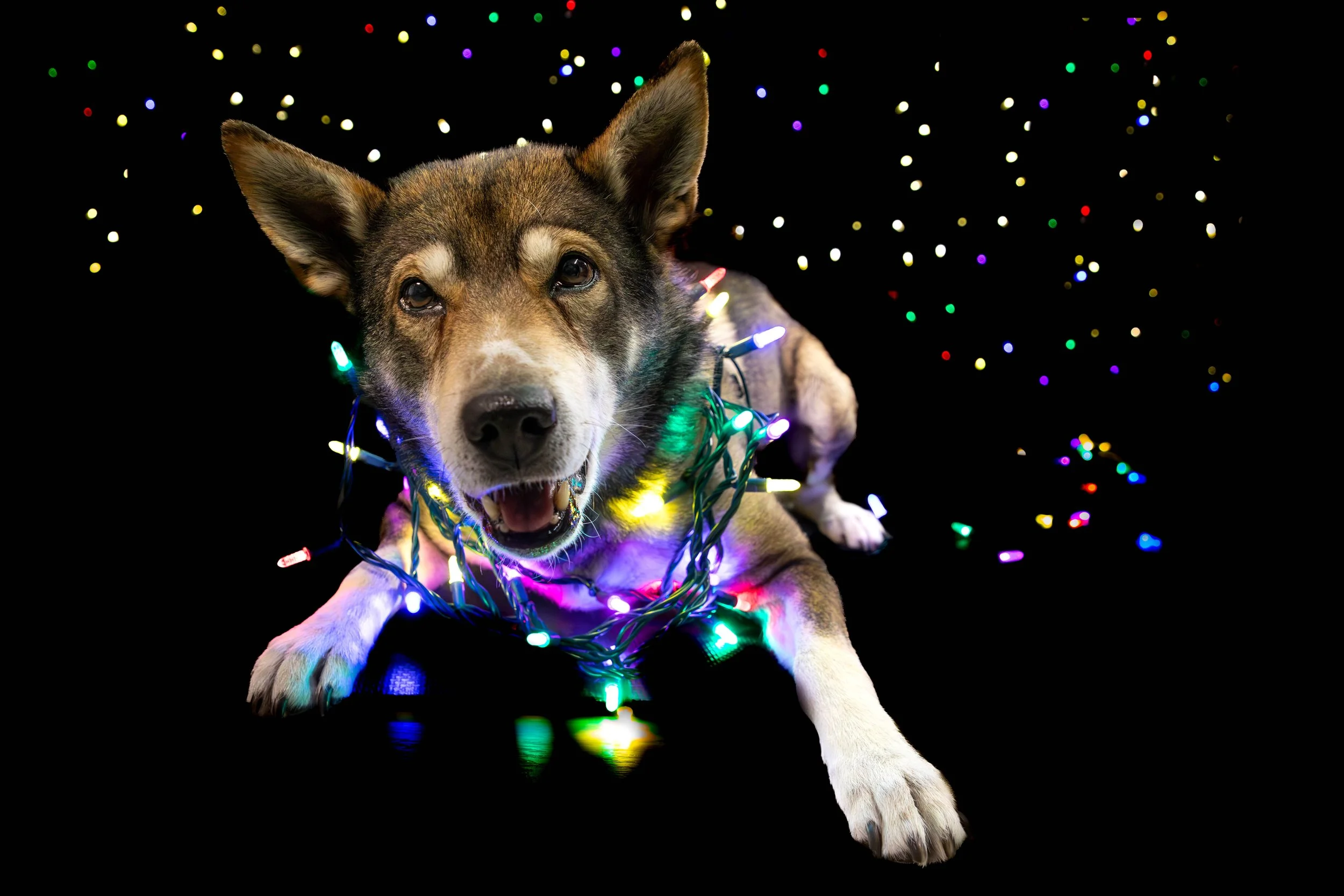 Tacoma Low Res-8.JPG