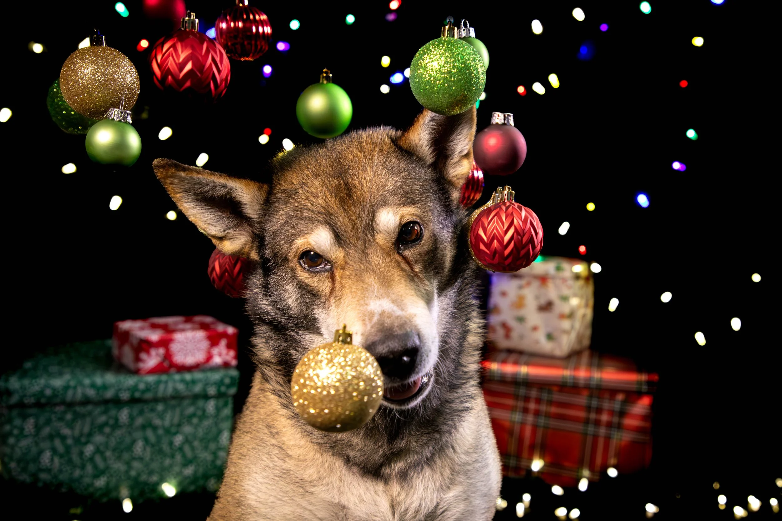 Tacoma Low Res-12.JPG