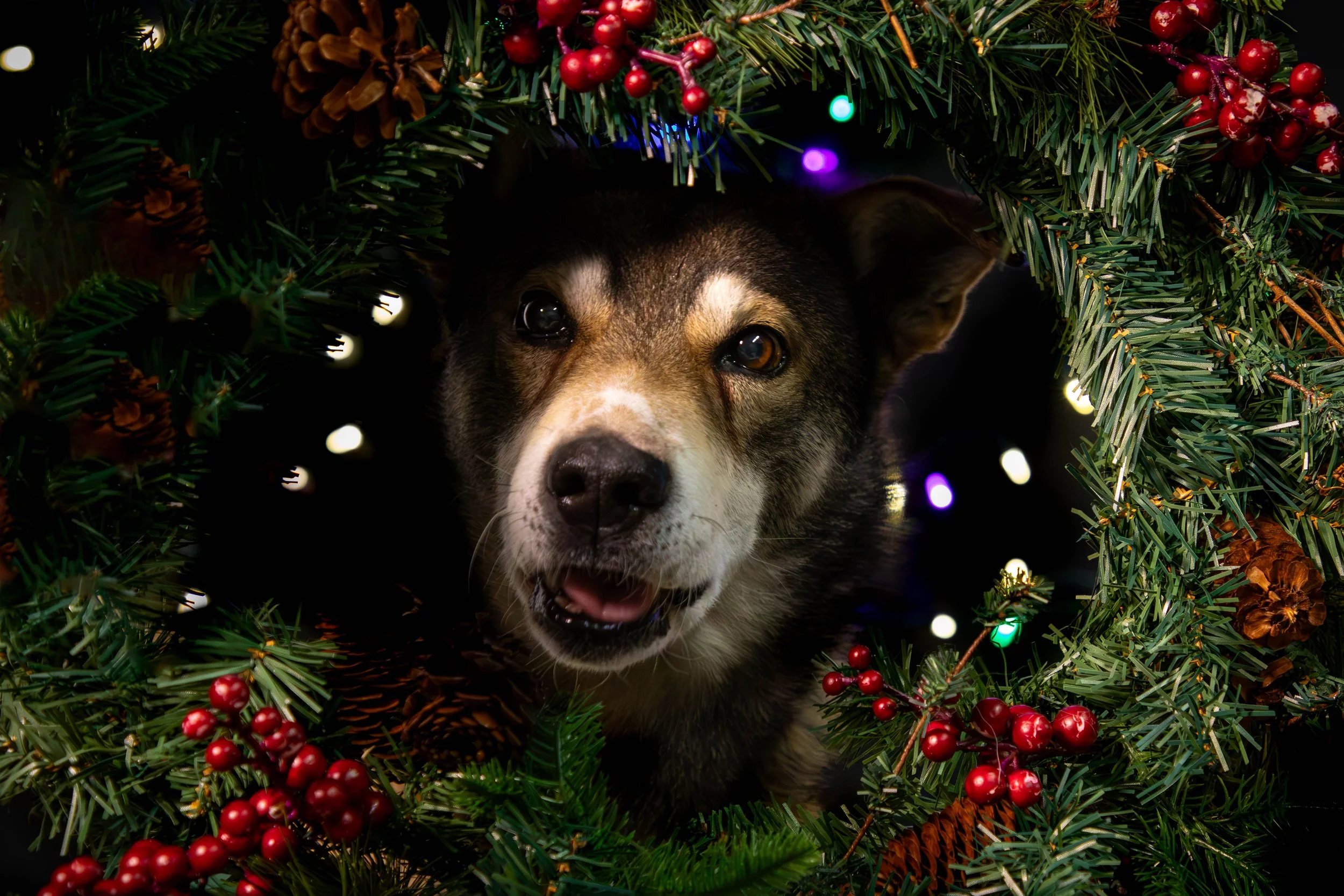 Tacoma Low Res-16.JPG