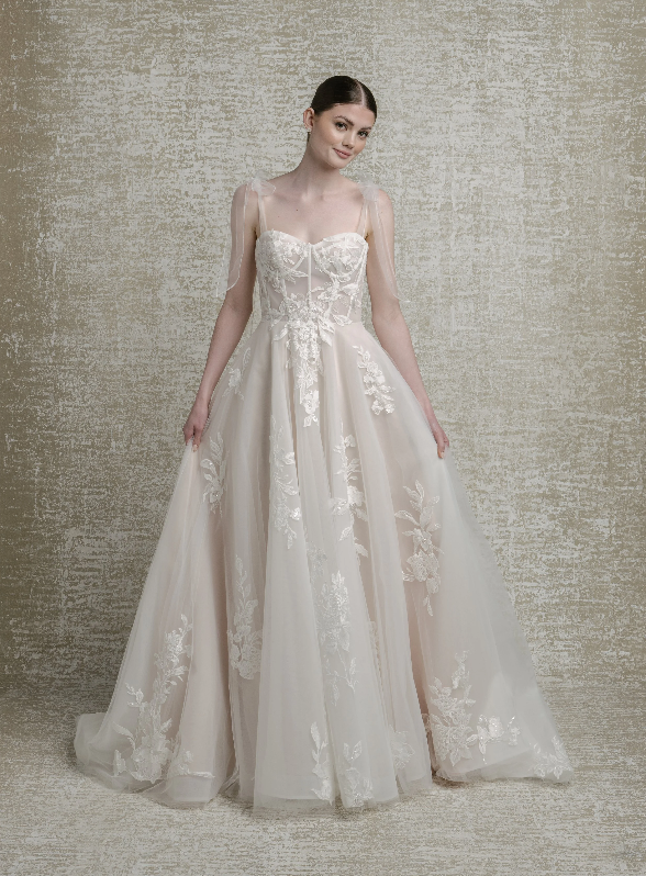 Screenshot 2026-02-27 121419.png