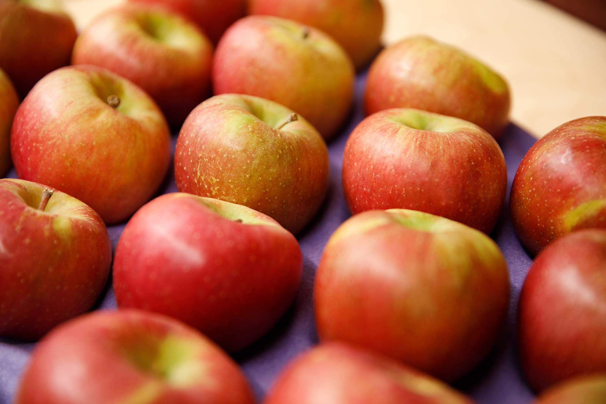 kerchers-orchard-indiana-apples.jpg