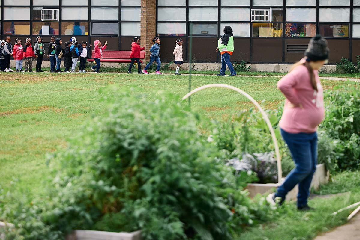 A class lines up excitedly to visit the school gardens, learn about planting, and harvest some fall vegetables.