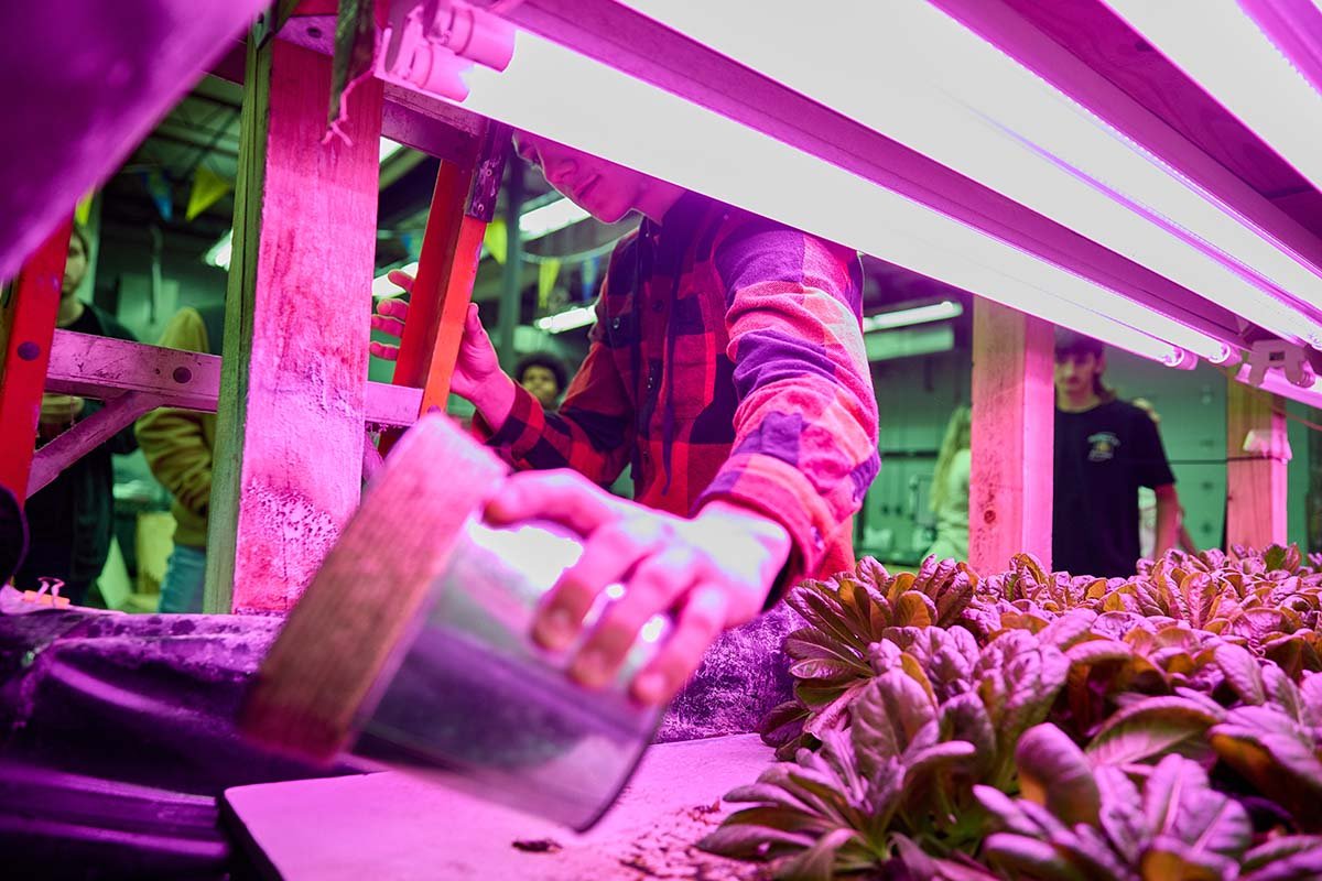 A student helps care for the plants in “The Ark” – the school’s hydroponic system.