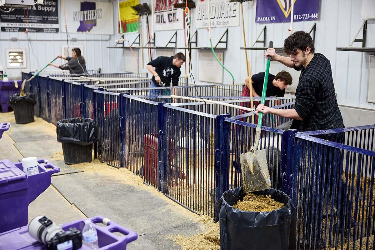 Students are responsible for keeping their pigs healthy and cared for.