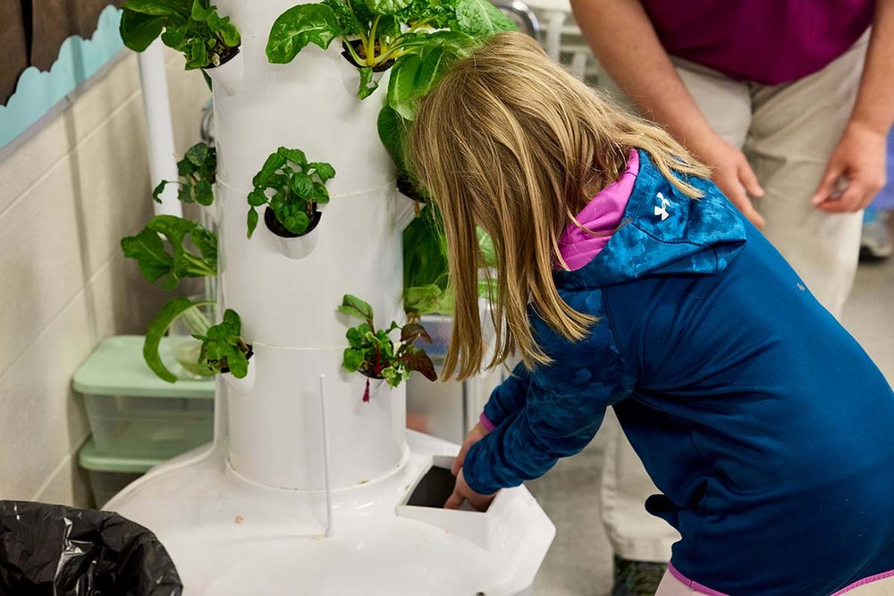 A 2nd grade student at Croninger Elementary School collects water from the tower garden for a pH test to determine whether their spinach and chard are healthy.