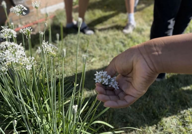 Bethany Christian School Cultivates Sustainability with Farm to School Program