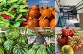 Farm to School Spotlight: sMall Town Produce