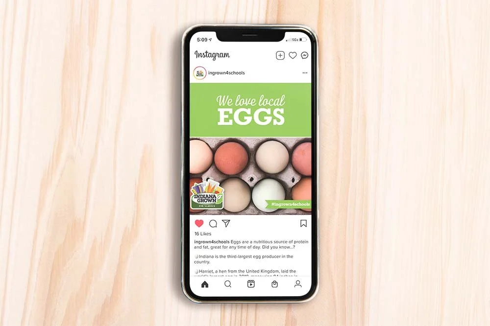 Social Media Resource: Egg Post