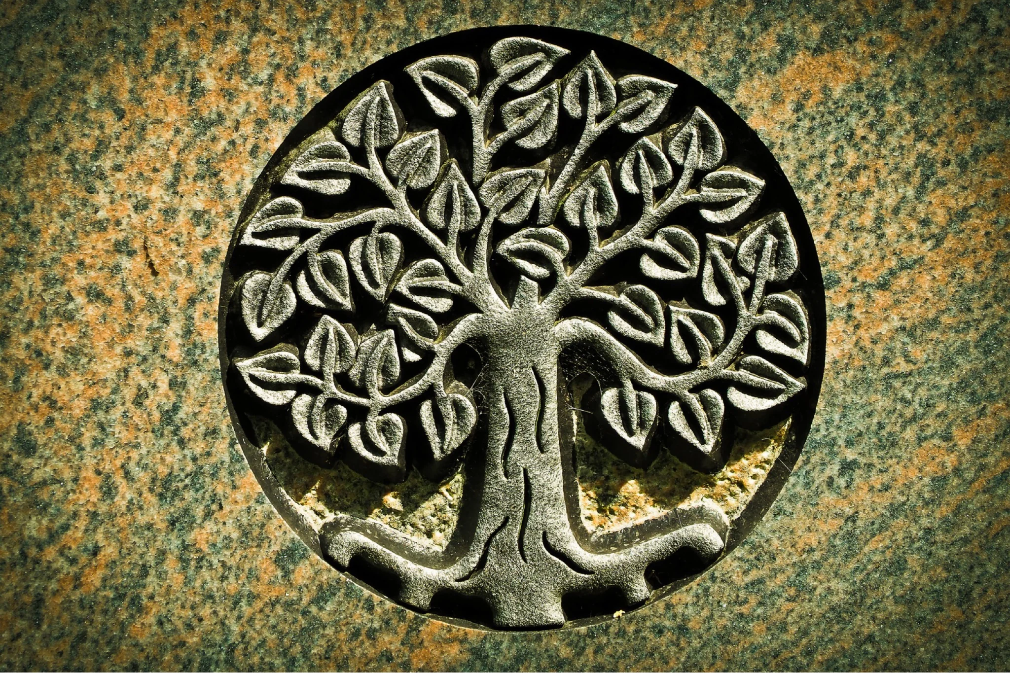 The Tree of Life and My Jewish American Experience