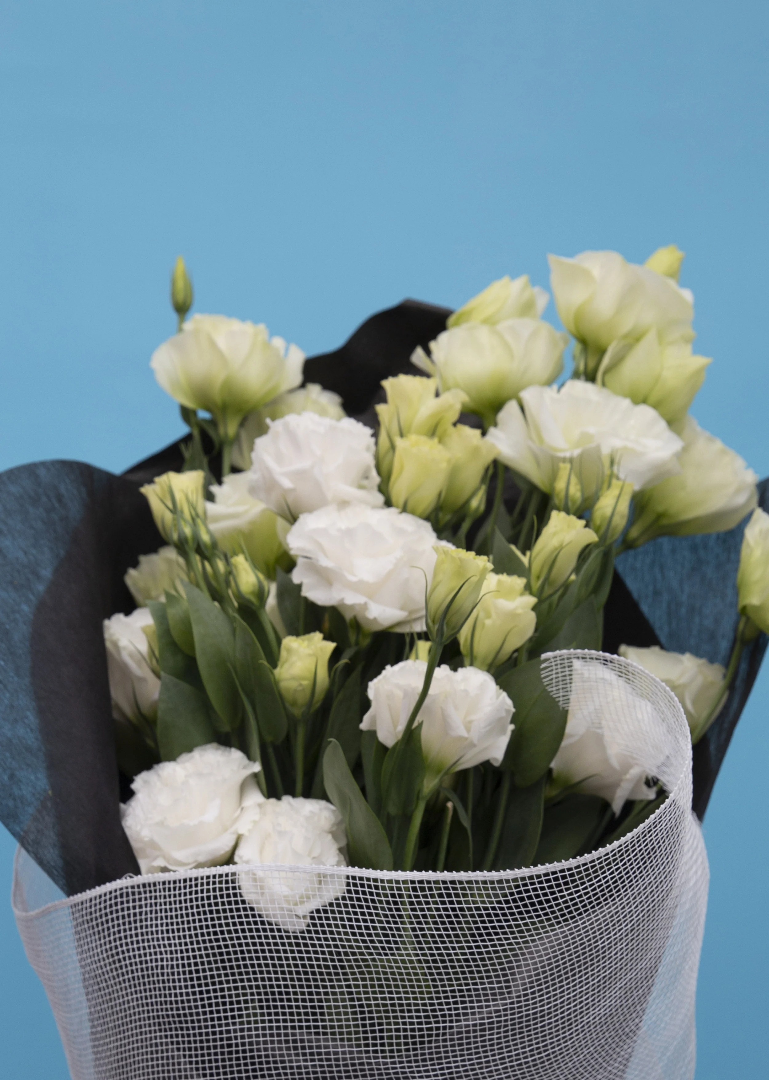Flower 11 Blue_CU.jpg