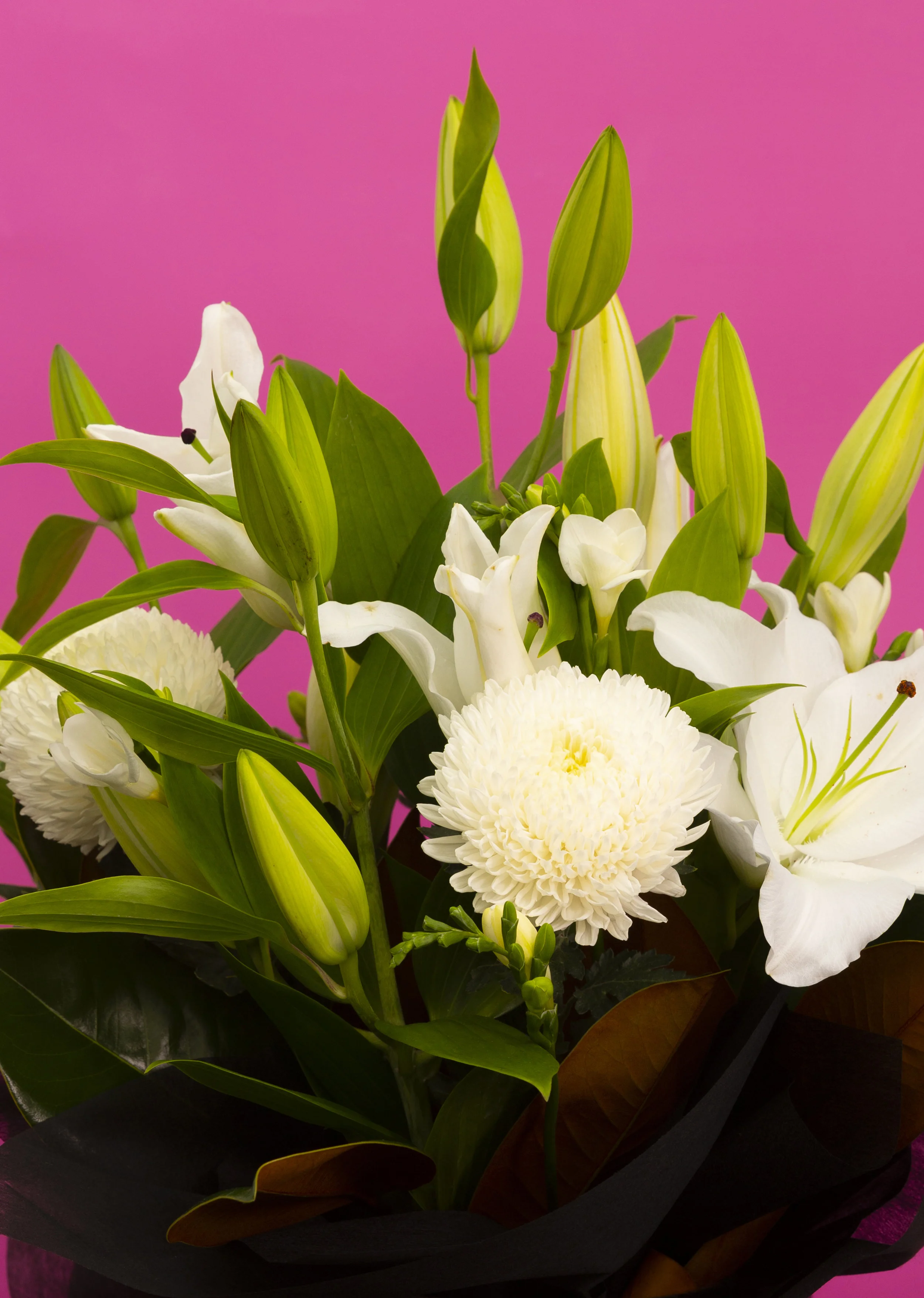 Flower 12 Pink_CU.jpg