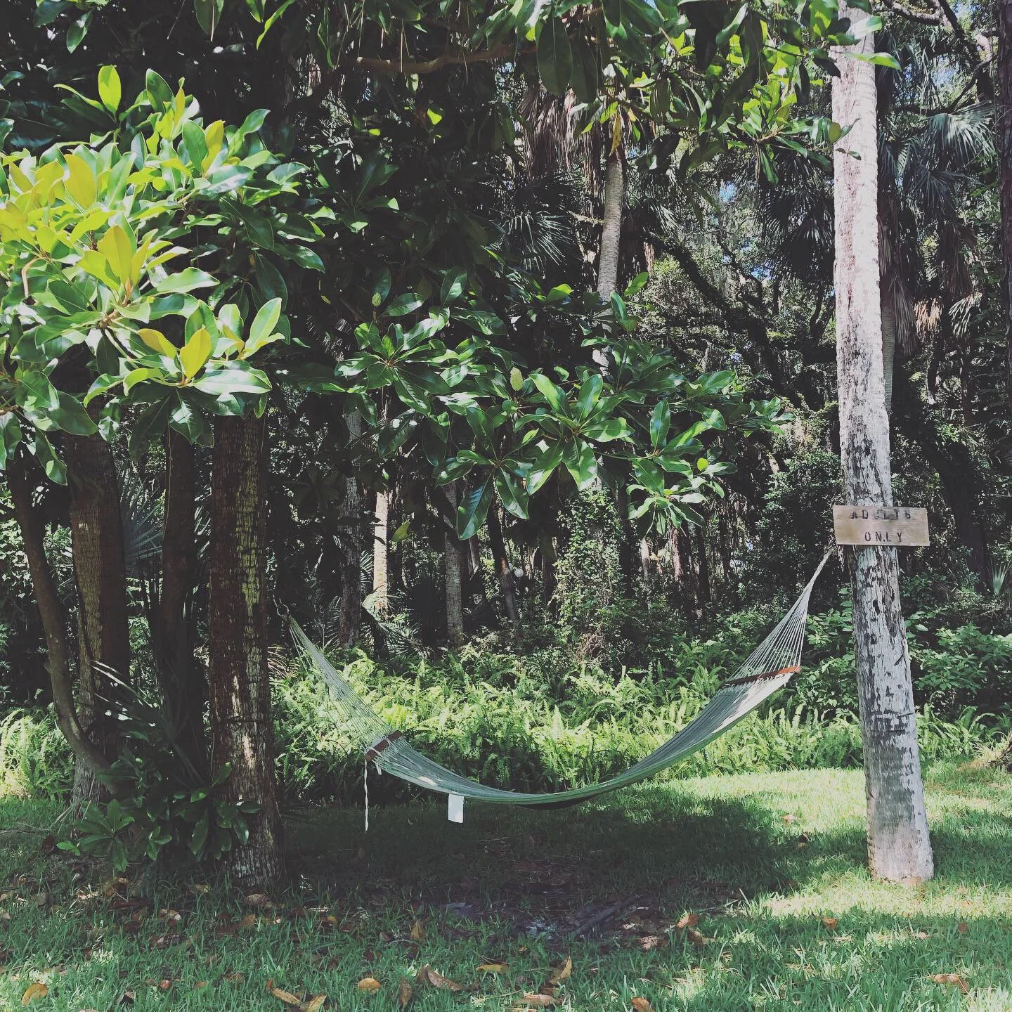 Palm Coast Villas PetFriendly Hotel in Hammock Florida