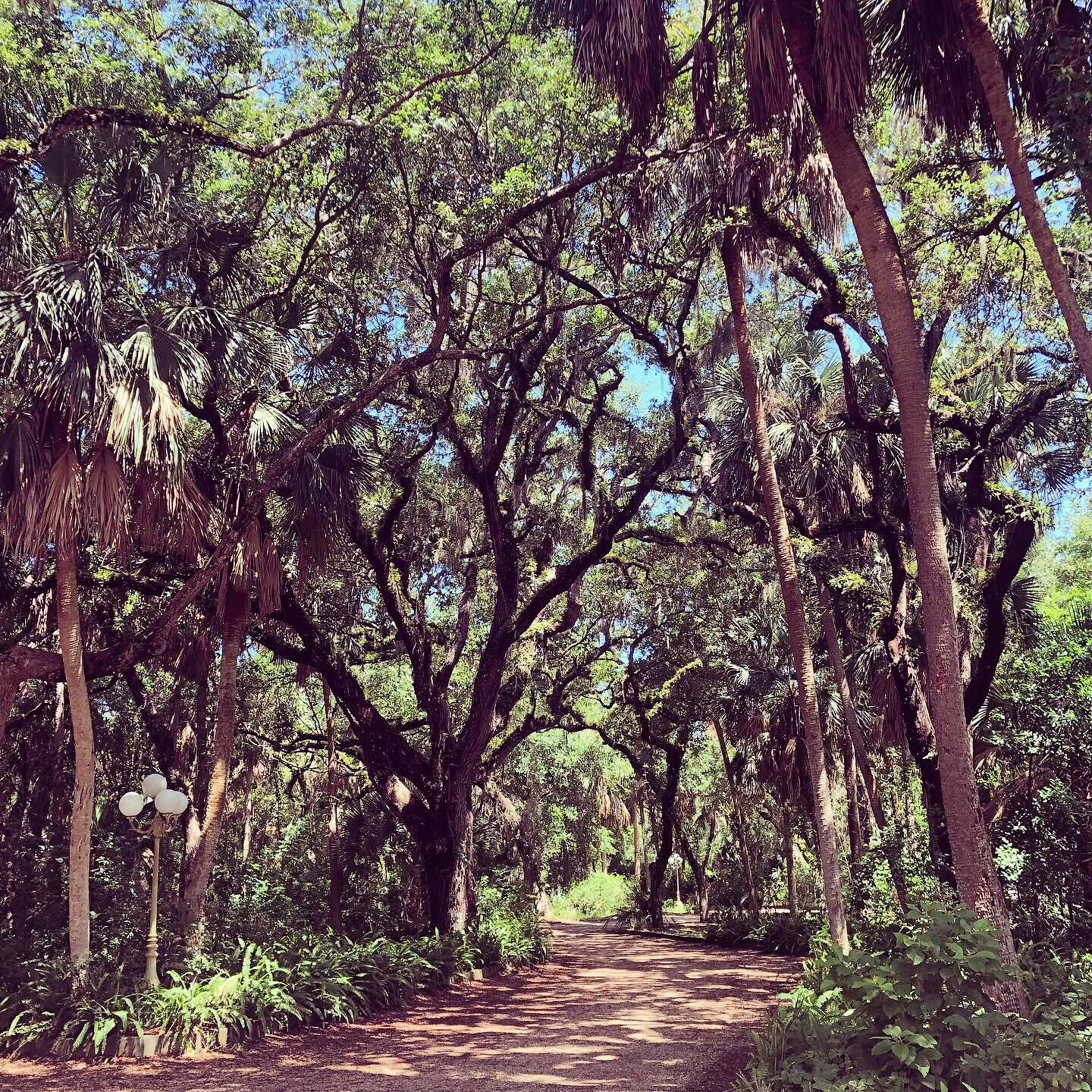 Palm Coast Villas PetFriendly Hotel in Hammock Florida