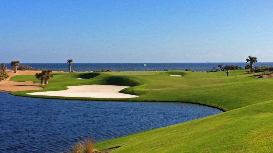 hammock dunes ocean.jpeg