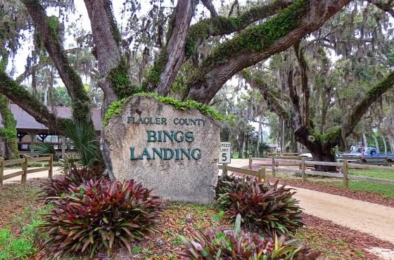 bings landing fishing.jpg