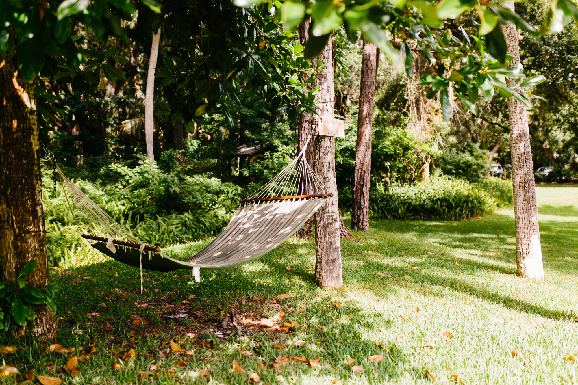 Hammock.jpg