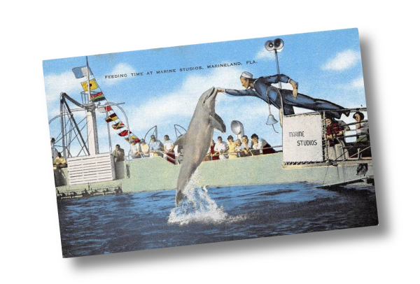 MarinelandEdited.png