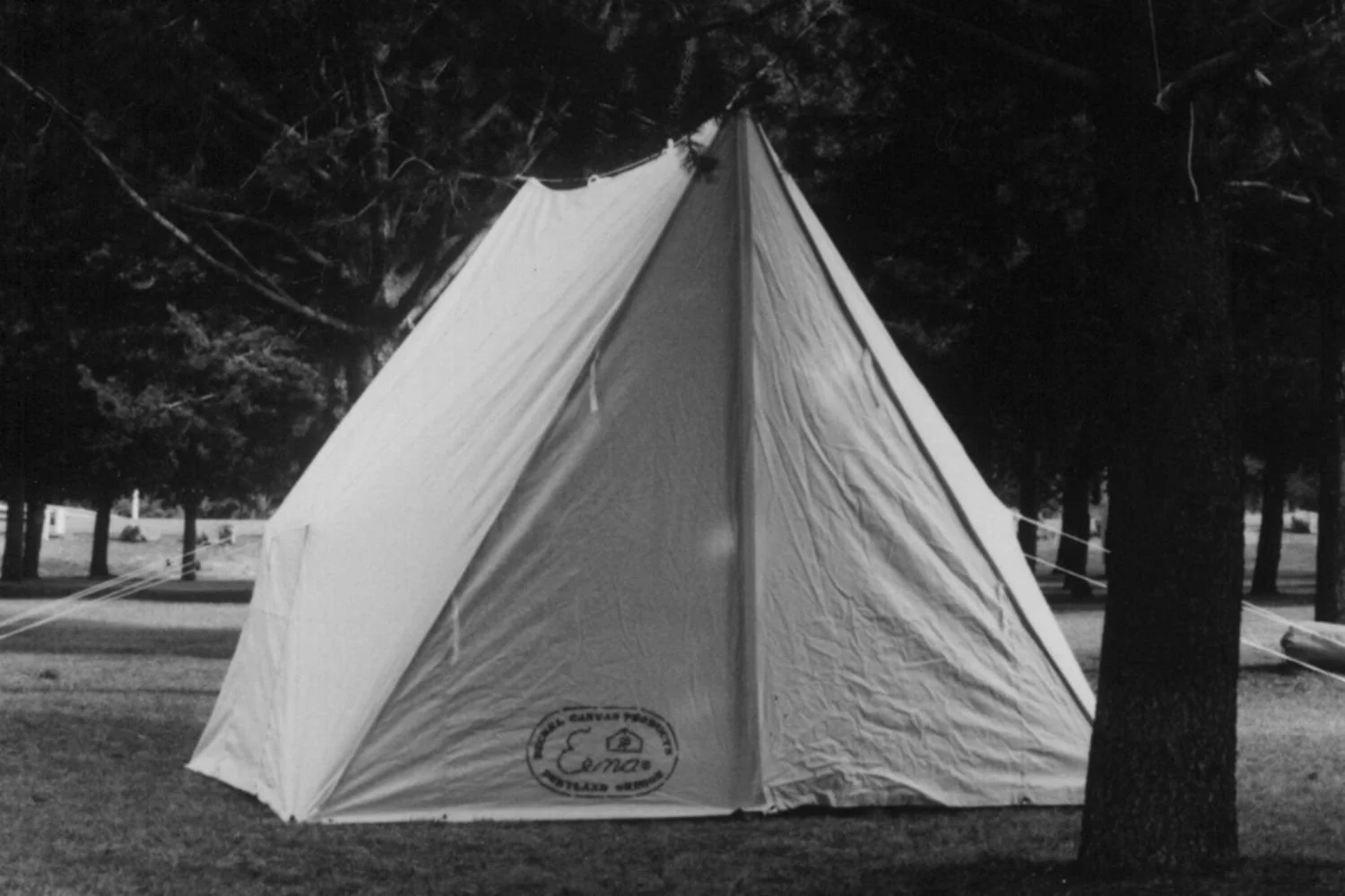 B&W Wedge tent.jpg