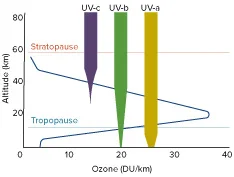 atmosphere-graph.jpg