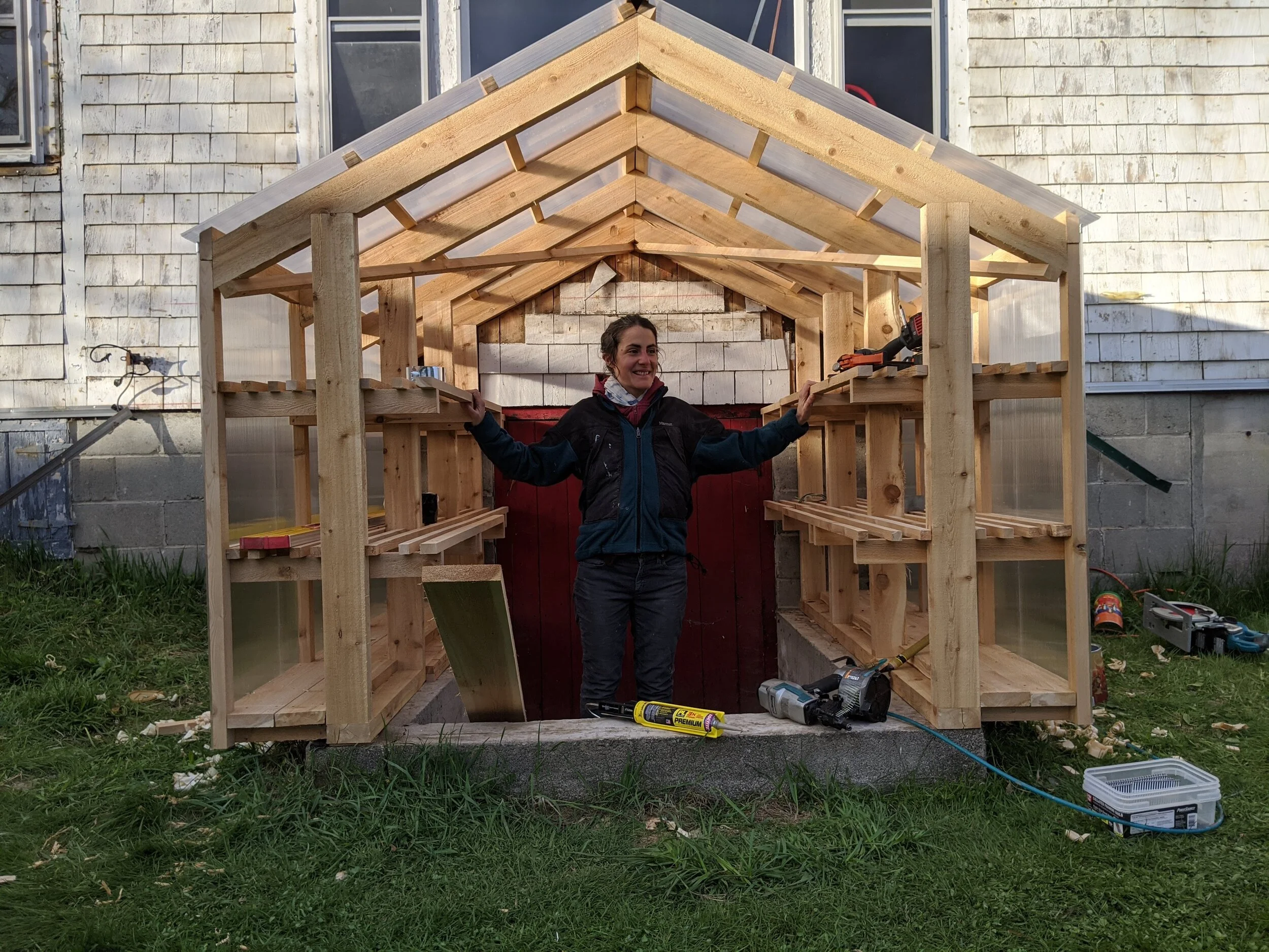 A gardener got a mini-greenhouse where her basement bulkhead was. April 2020