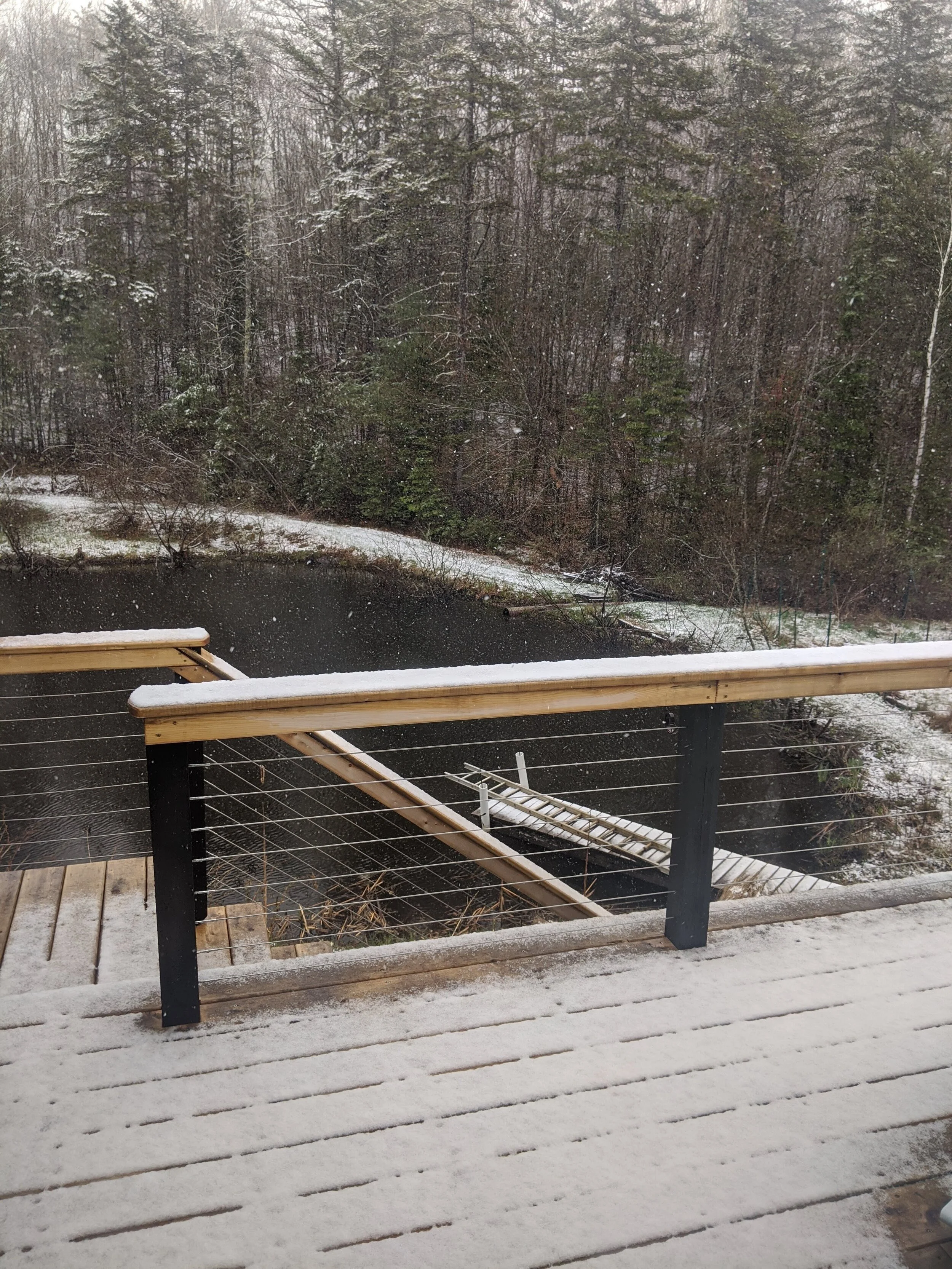 New Deck with stainless steel cable railing 2018