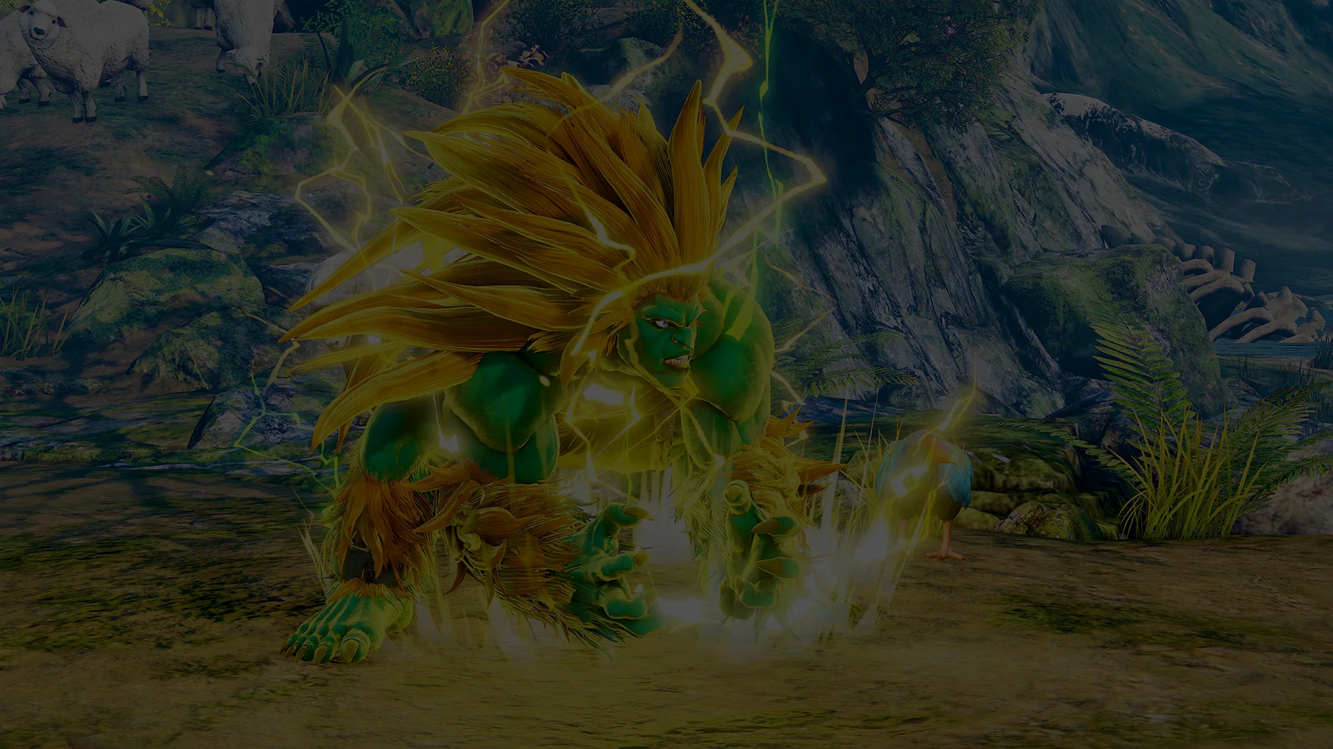 Competition Header.jpg