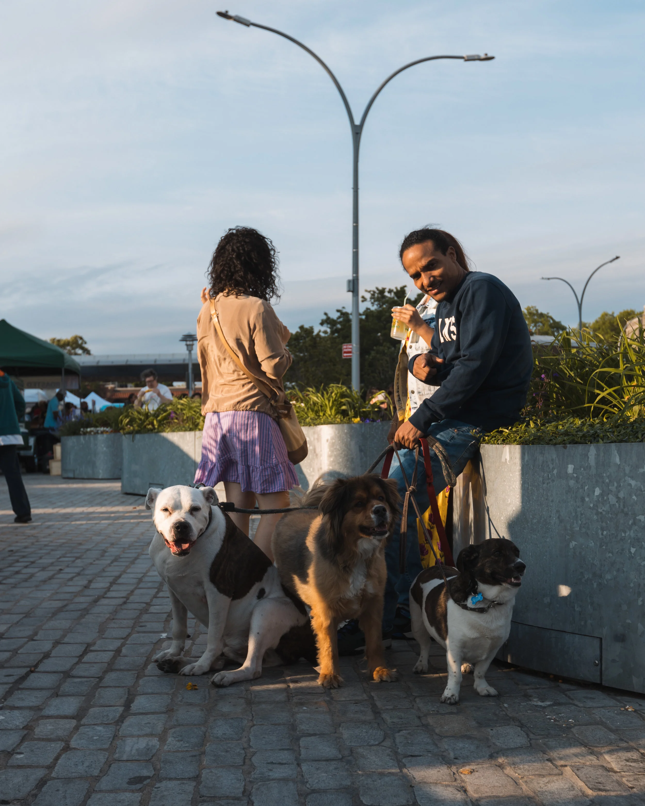 Bronx Night Market-263.jpg